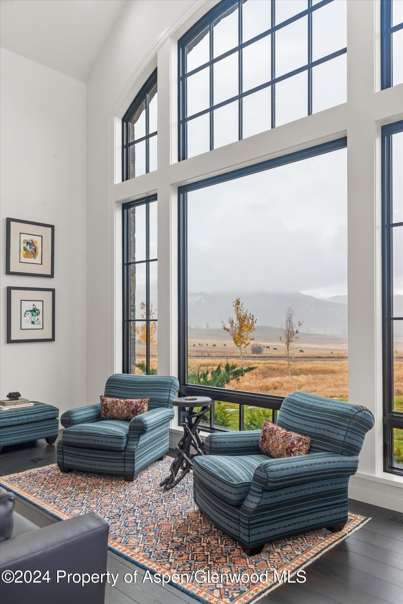 2388 Lazy O Road, Snowmass, CO 81654 - Photo 11