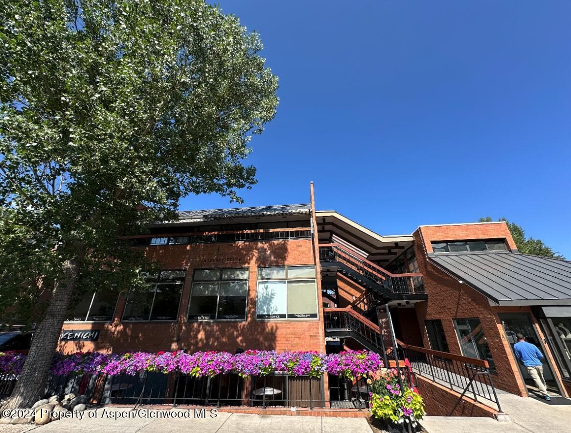 533 E Hopkins Ave 103, Aspen, CO 81611
