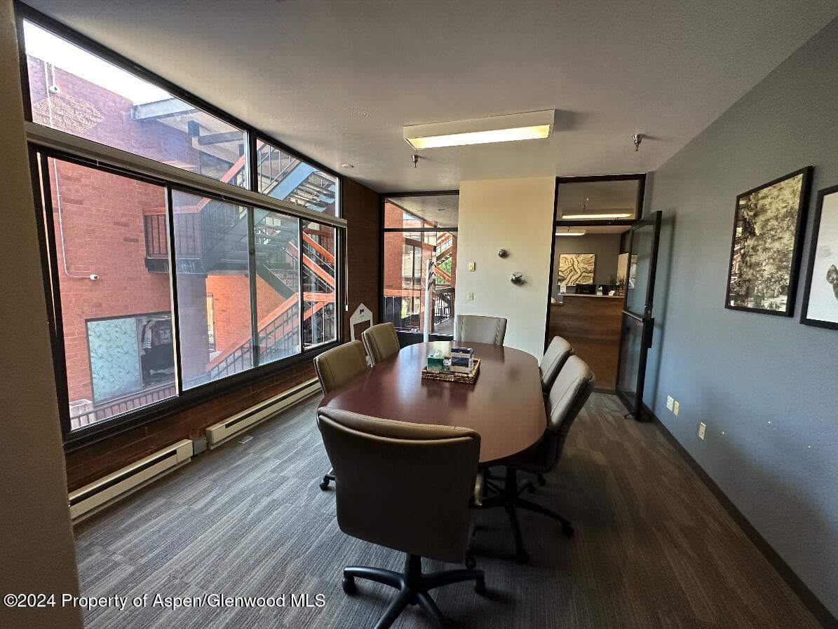 533 E Hopkins Ave 103, Aspen, CO 81611 - Photo 4