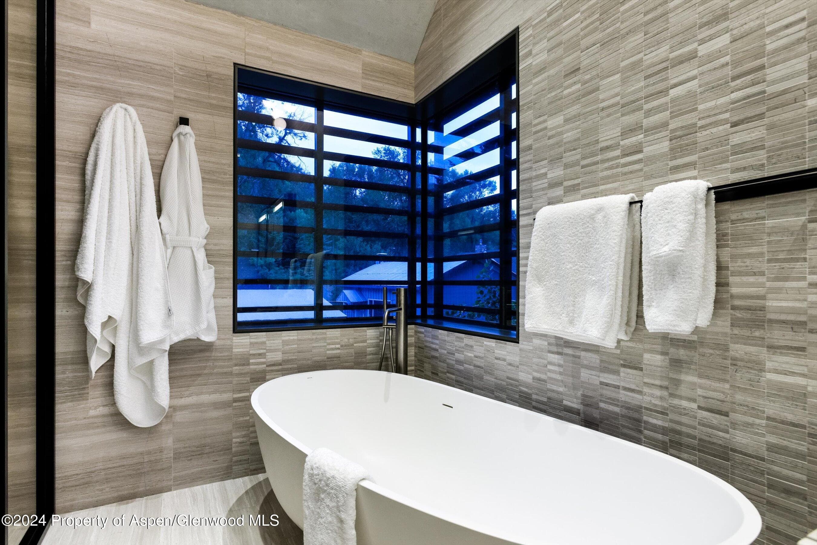 605 W Bleeker Street, Aspen, CO 81611 - Photo 15