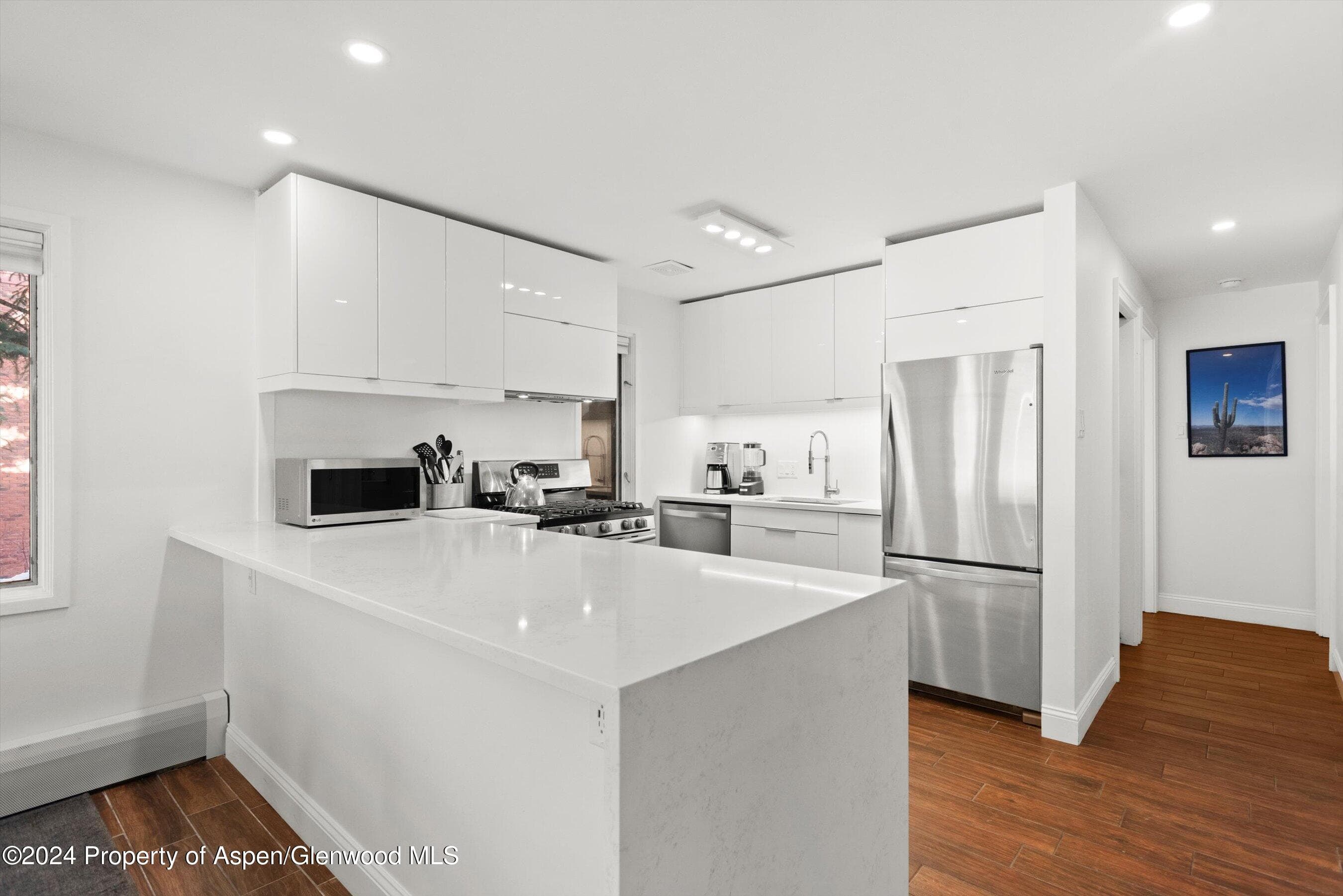 731 S Mill Street 1A, Aspen, CO 81611 - Photo 5