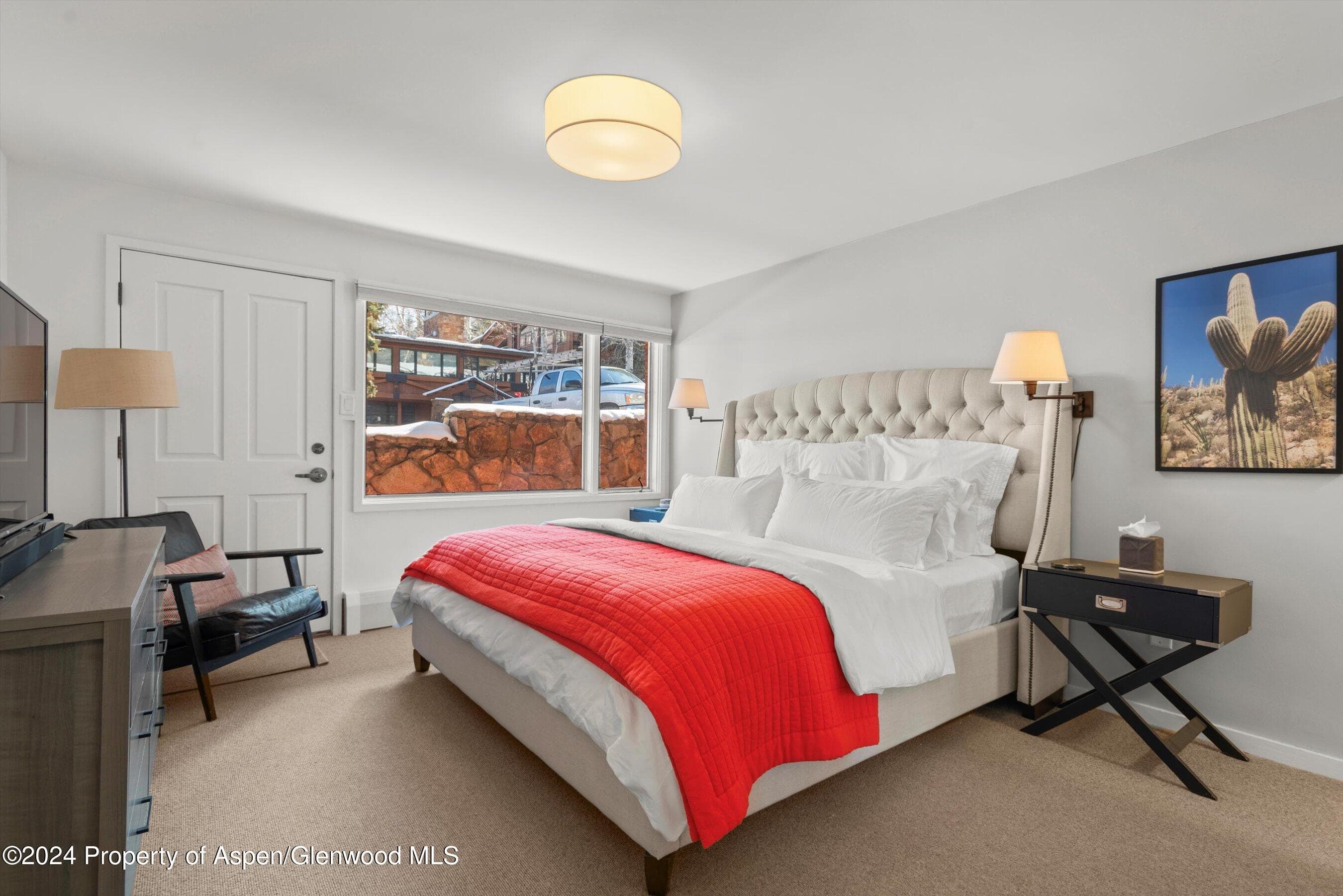731 S Mill Street 1A, Aspen, CO 81611 - Photo 7