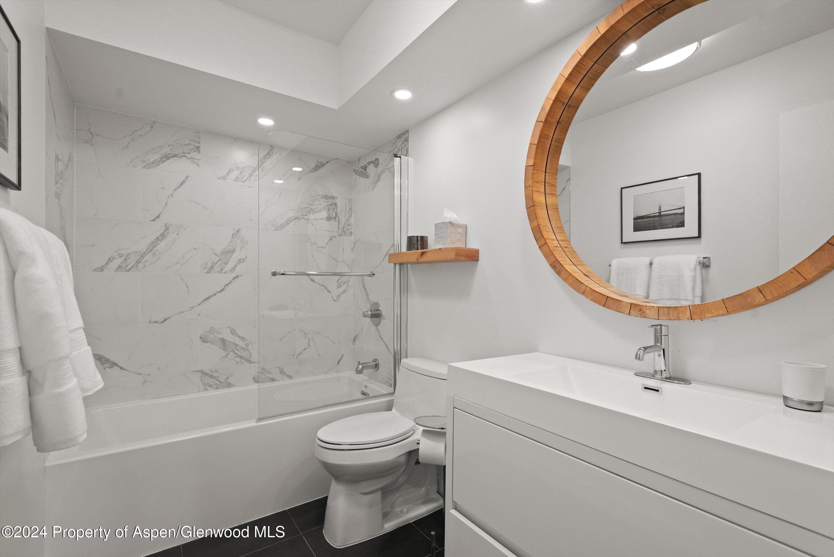 731 S Mill Street 1A, Aspen, CO 81611 - Photo 8