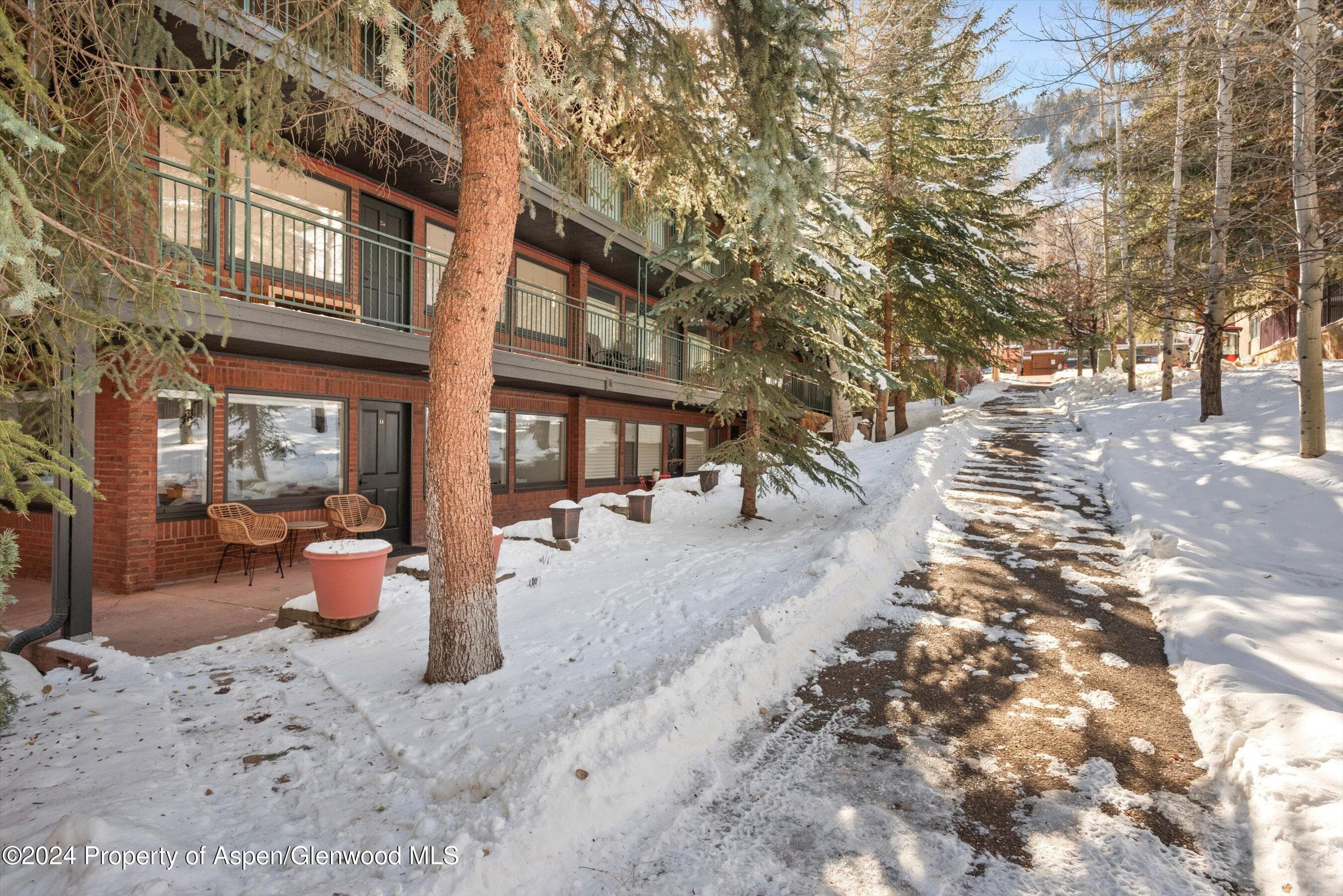731 S Mill Street 1A, Aspen, CO 81611 - Photo 12