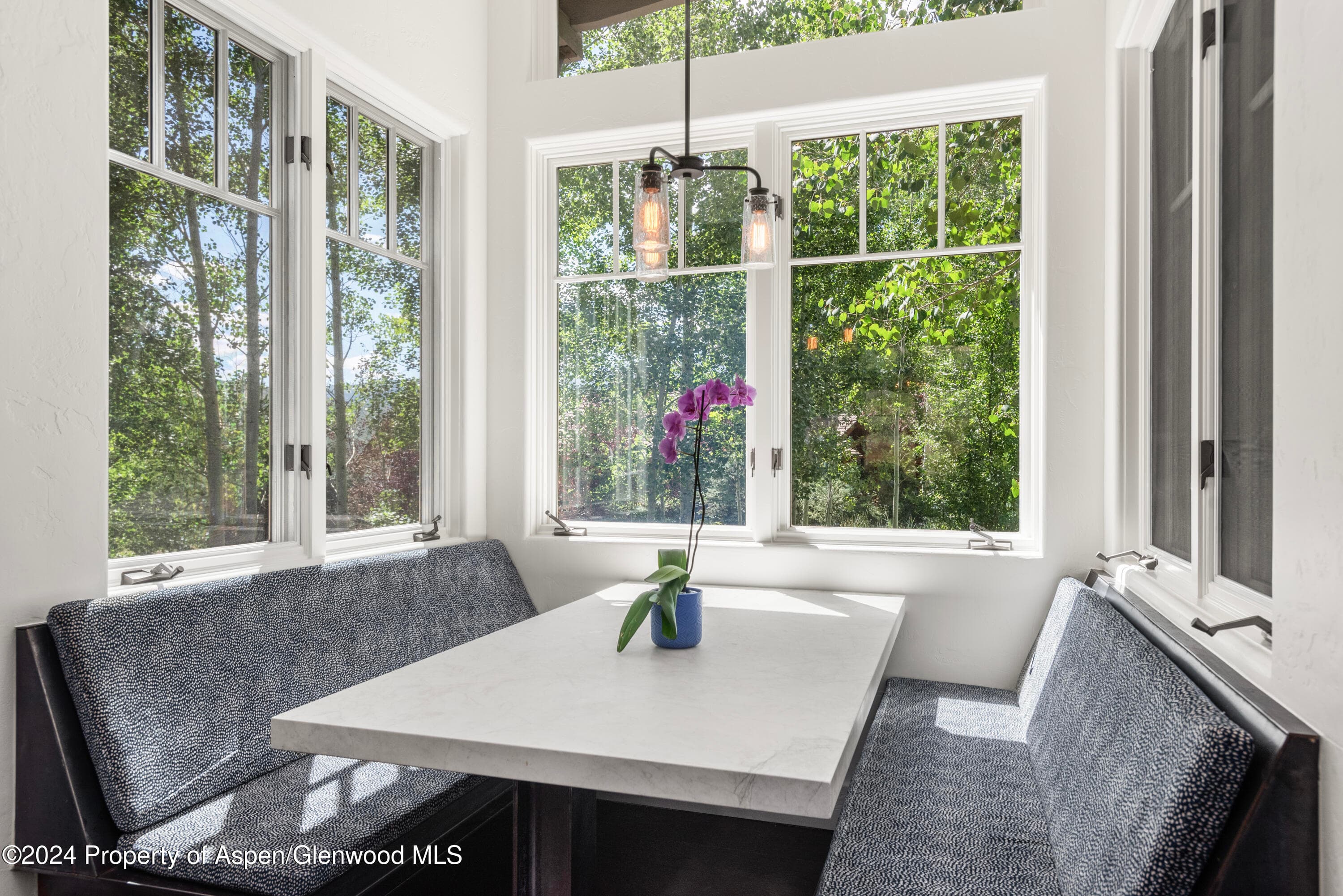 124 TRAIL RIDER Lane, Snowmass Village, CO 81615 - Photo 13