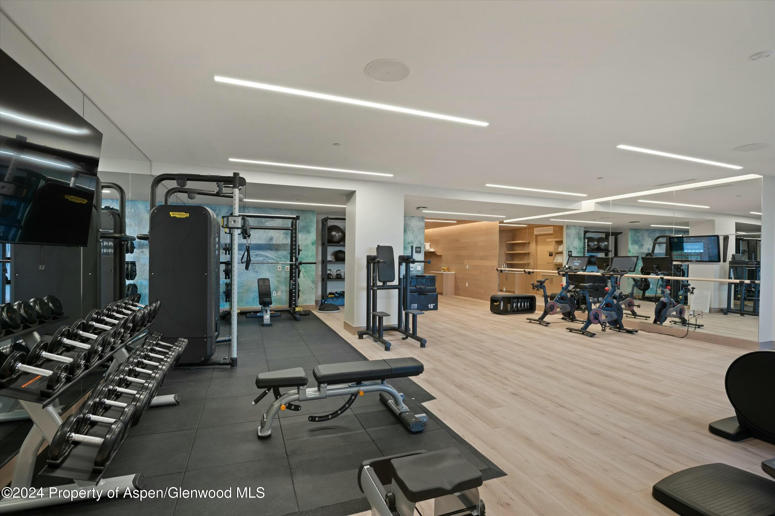 130 Wood Road 257/259, Snowmass Village, CO 81615 - Photo 21