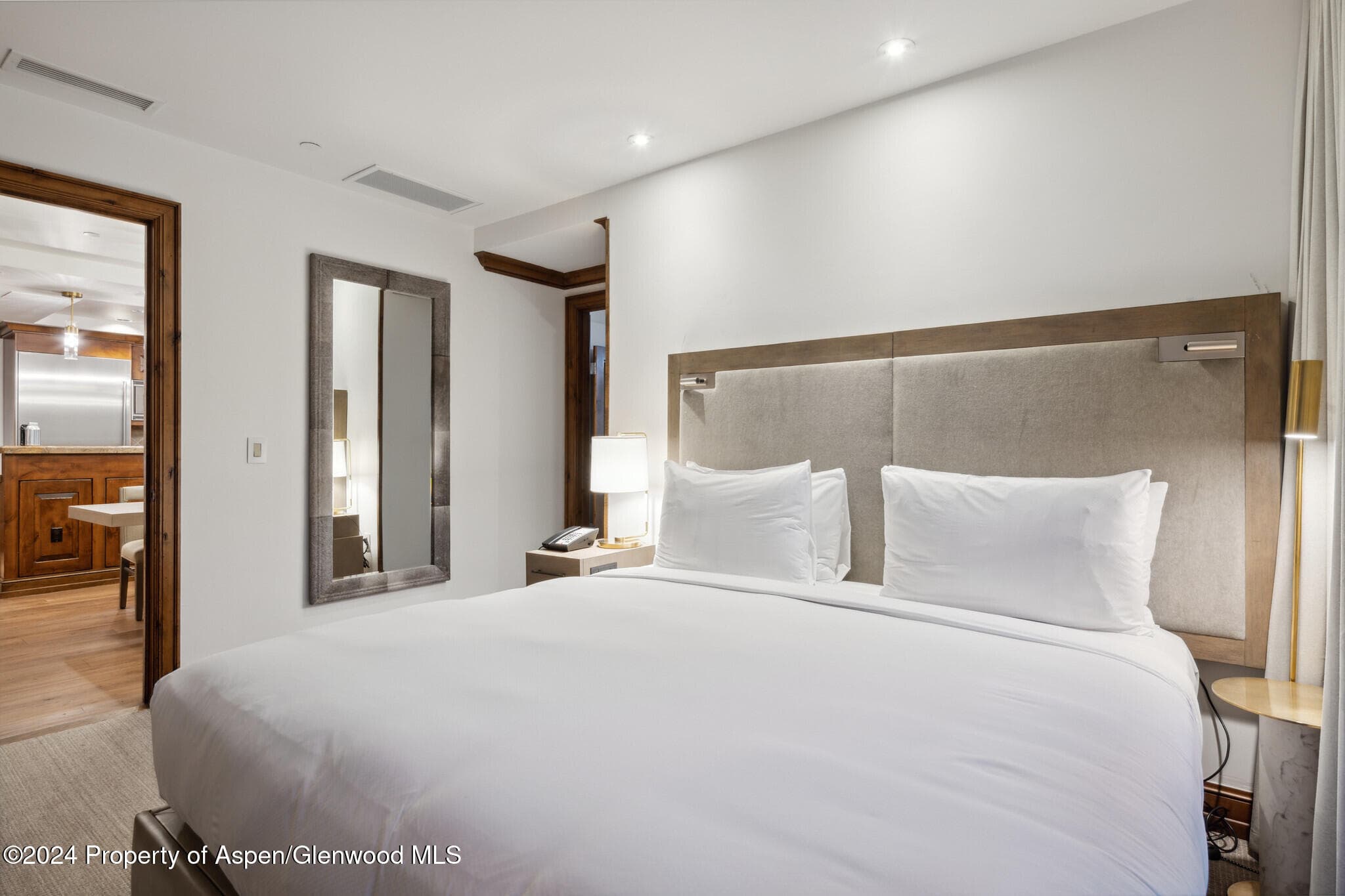 415 E Dean St, Unit 46, Week 12, Aspen, CO 81611 - Photo 14