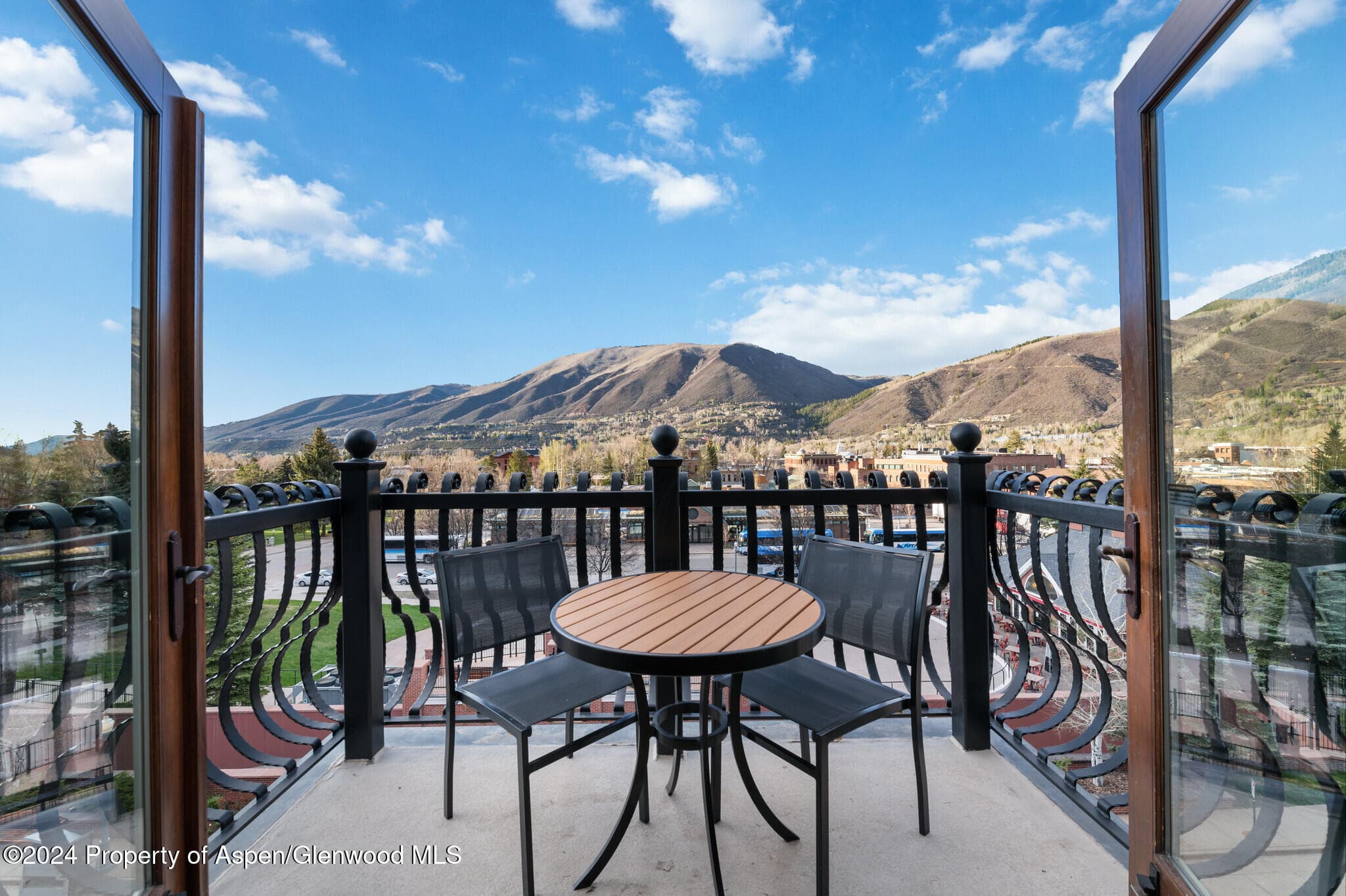 415 E Dean St, Unit 46, Week 12, Aspen, CO 81611 - Photo 5
