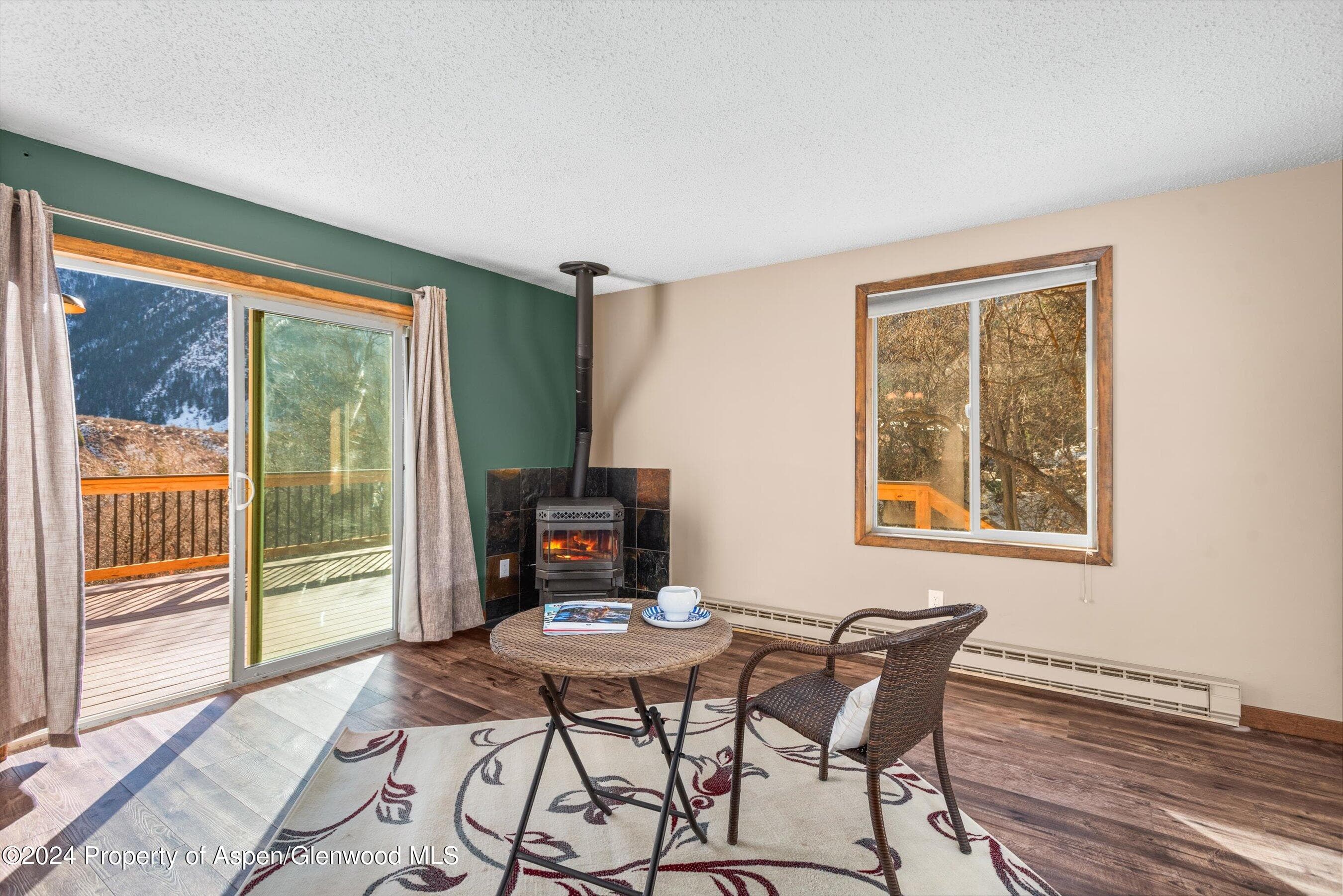 212 Cherokee Lane, Carbondale, CO 81623 - Photo 6