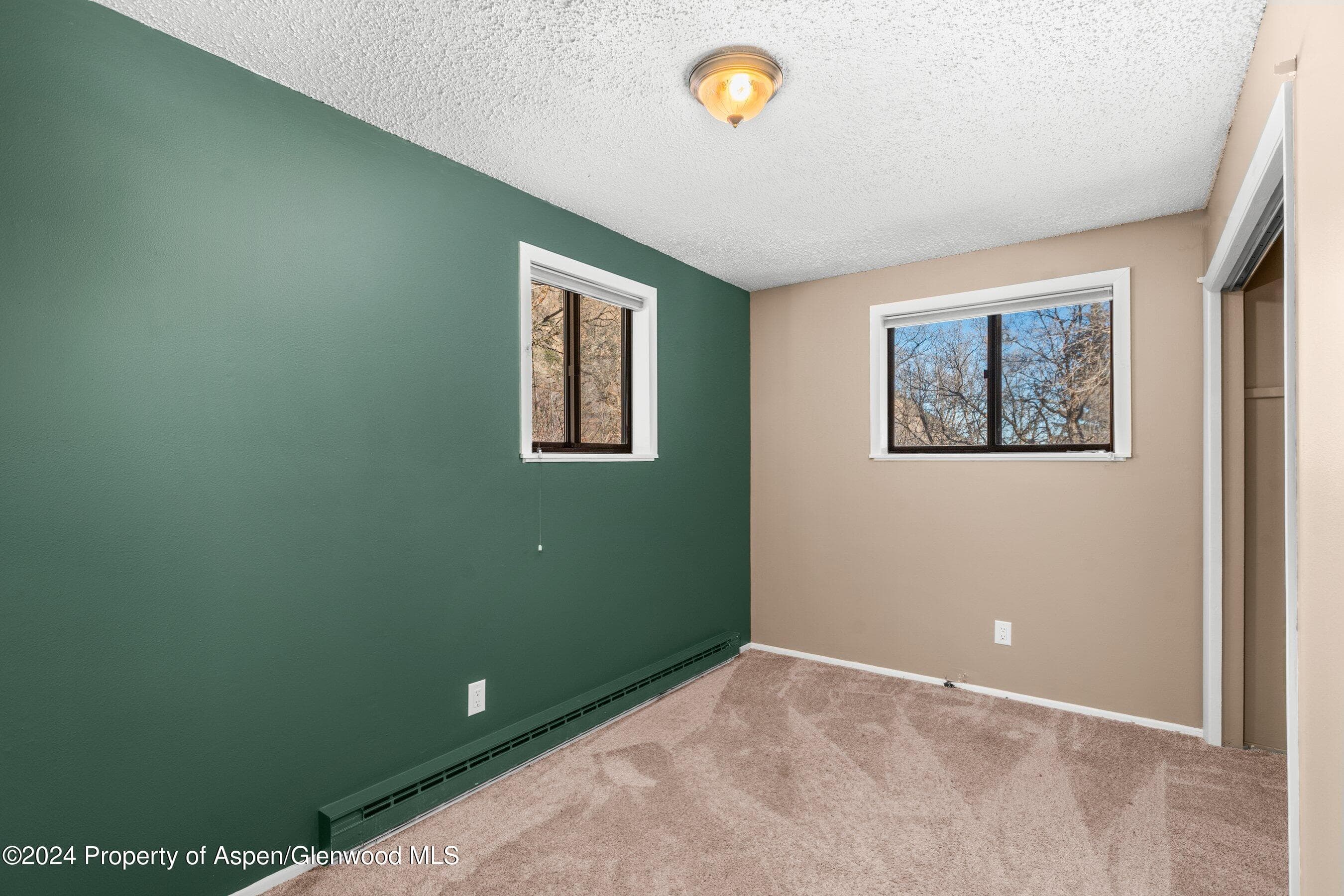 212 Cherokee Lane, Carbondale, CO 81623 - Photo 20
