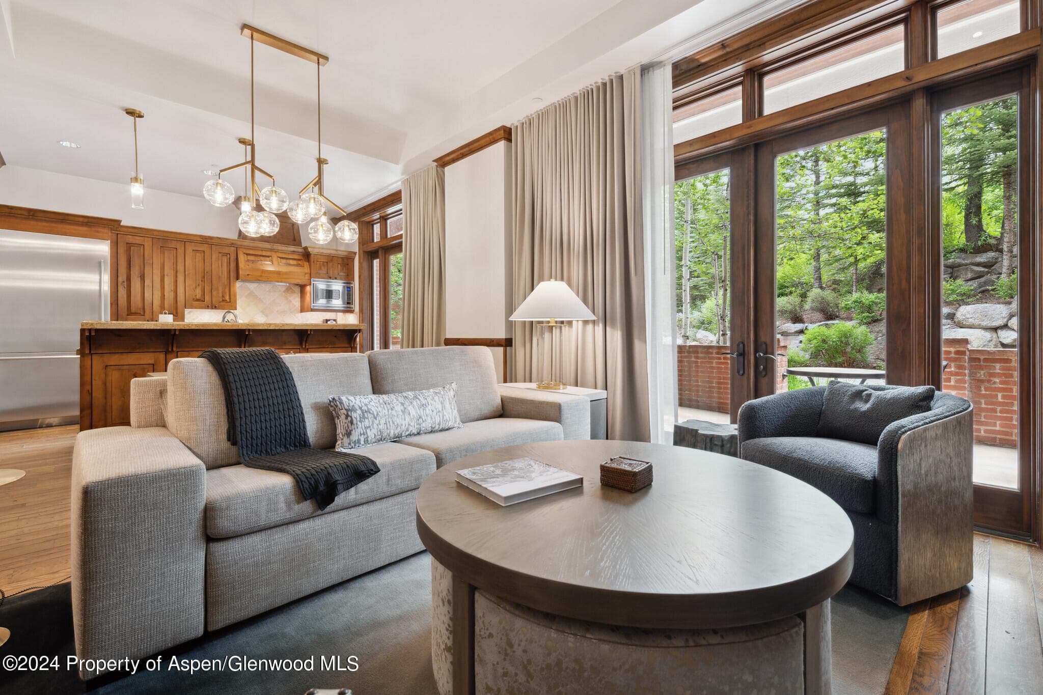 415 E Dean St, #7, Week 6, Aspen, CO 81611 - Photo 2