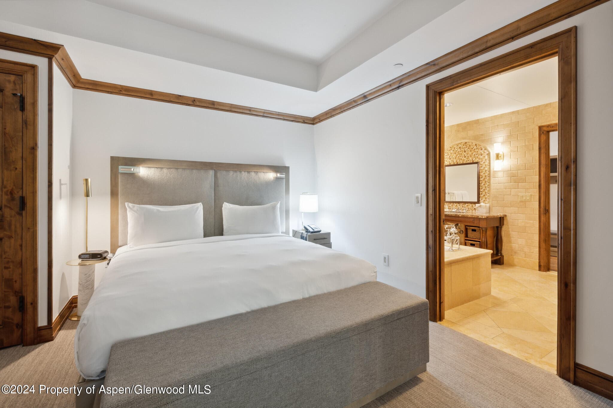 415 E Dean St, #7, Week 6, Aspen, CO 81611 - Photo 10
