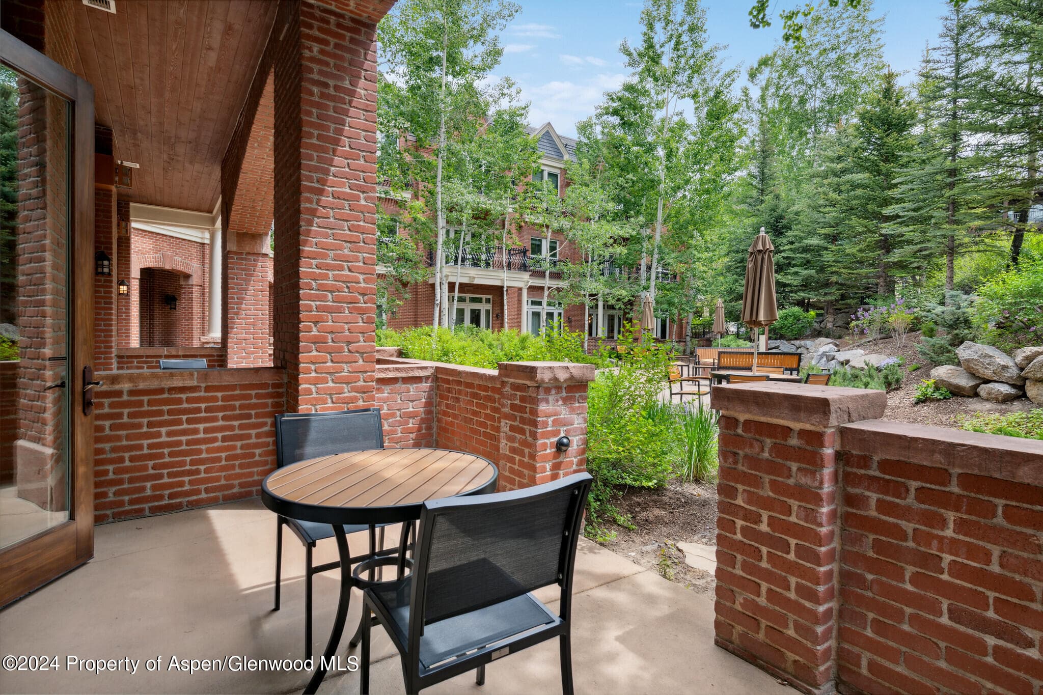 415 E Dean St, #7, Week 6, Aspen, CO 81611 - Photo 13