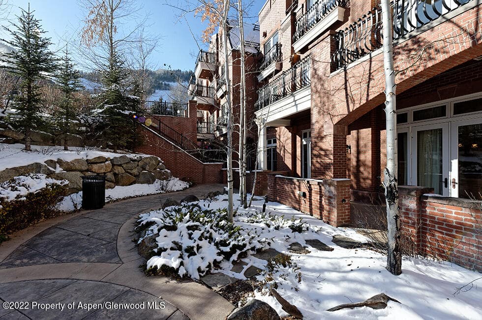 415 E Dean St, #7, Week 6, Aspen, CO 81611 - Photo 15