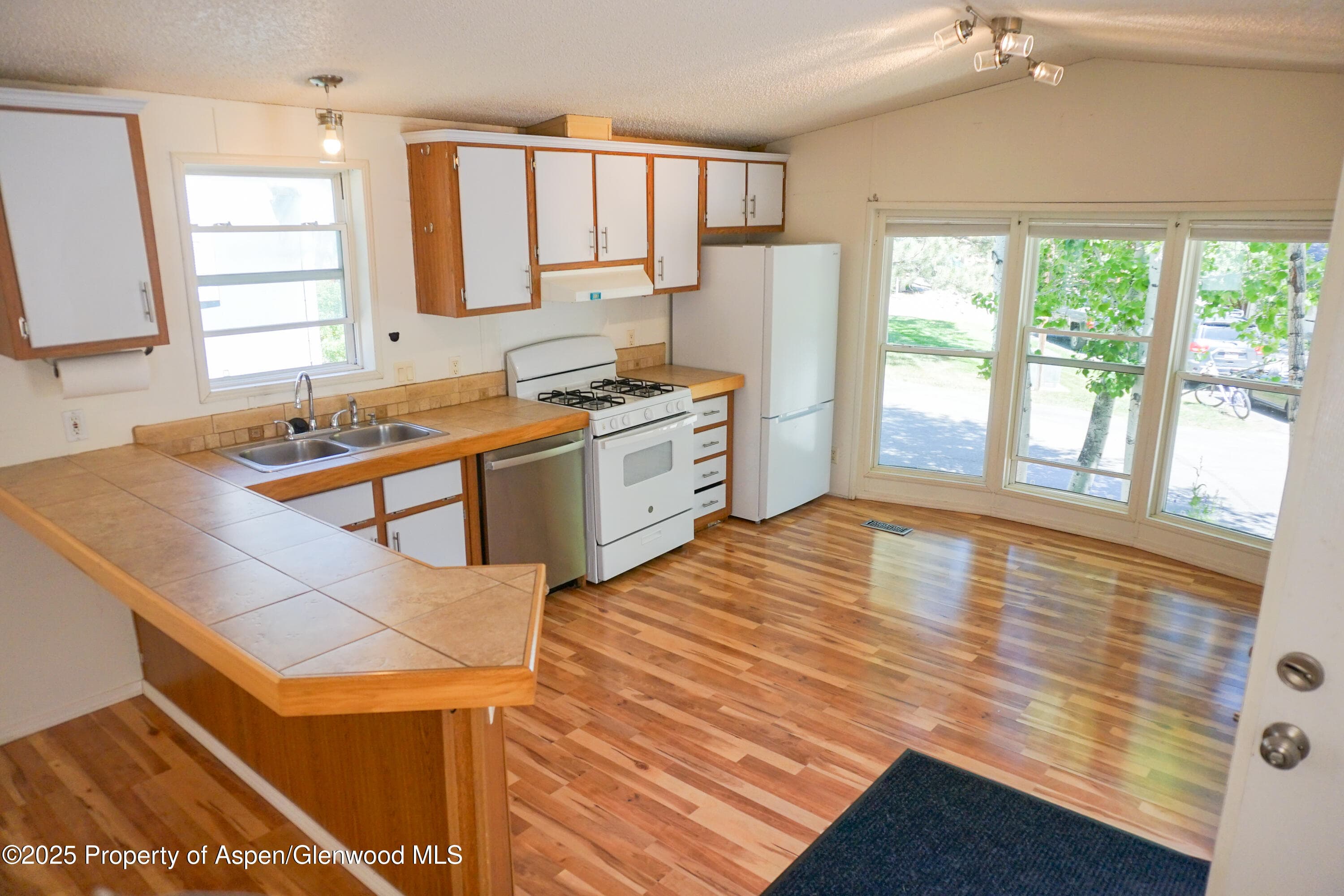 91 WILDCAT, Aspen, CO 81611 - Photo 3