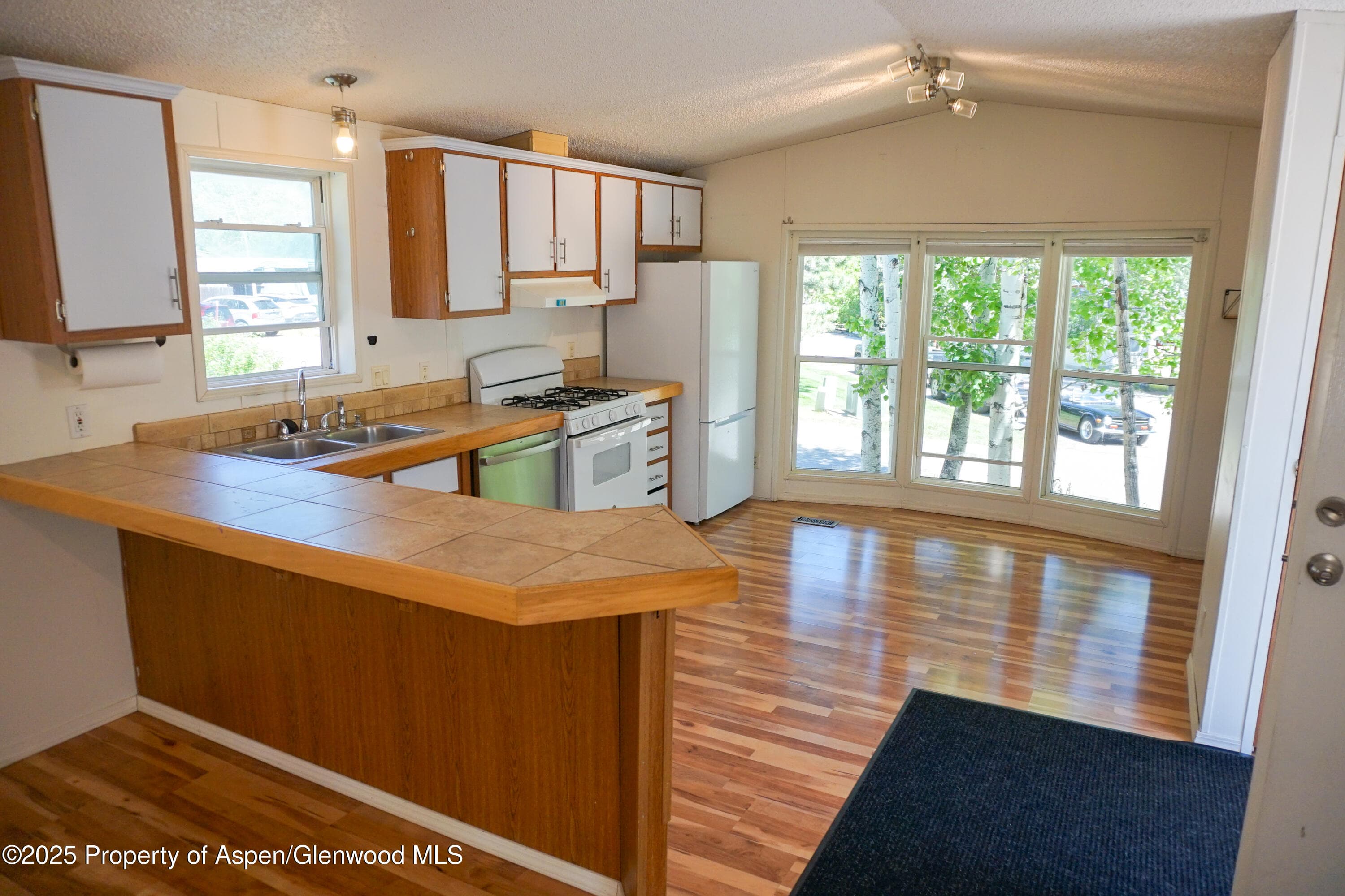 91 WILDCAT, Aspen, CO 81611 - Photo 5