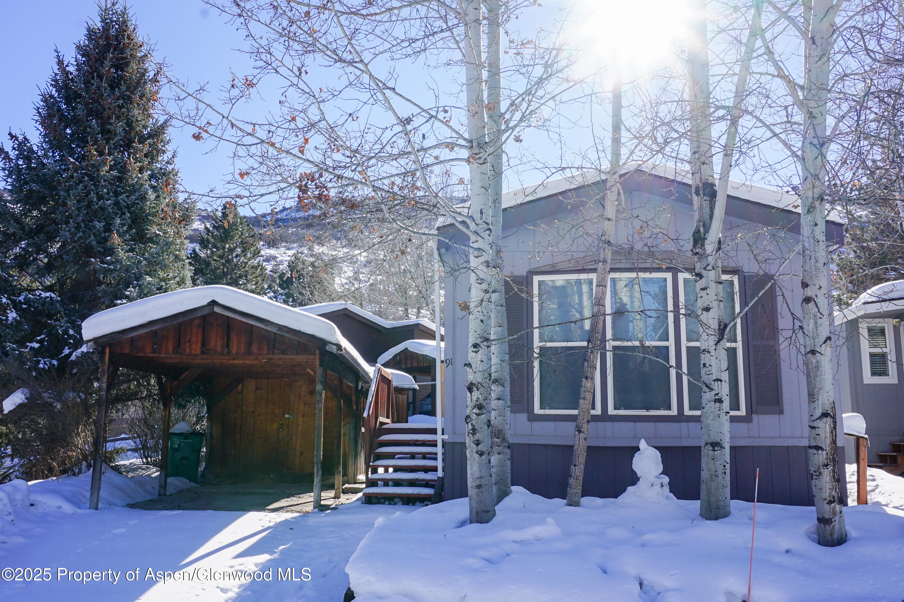 91 WILDCAT, Aspen, CO 81611 - Photo 1