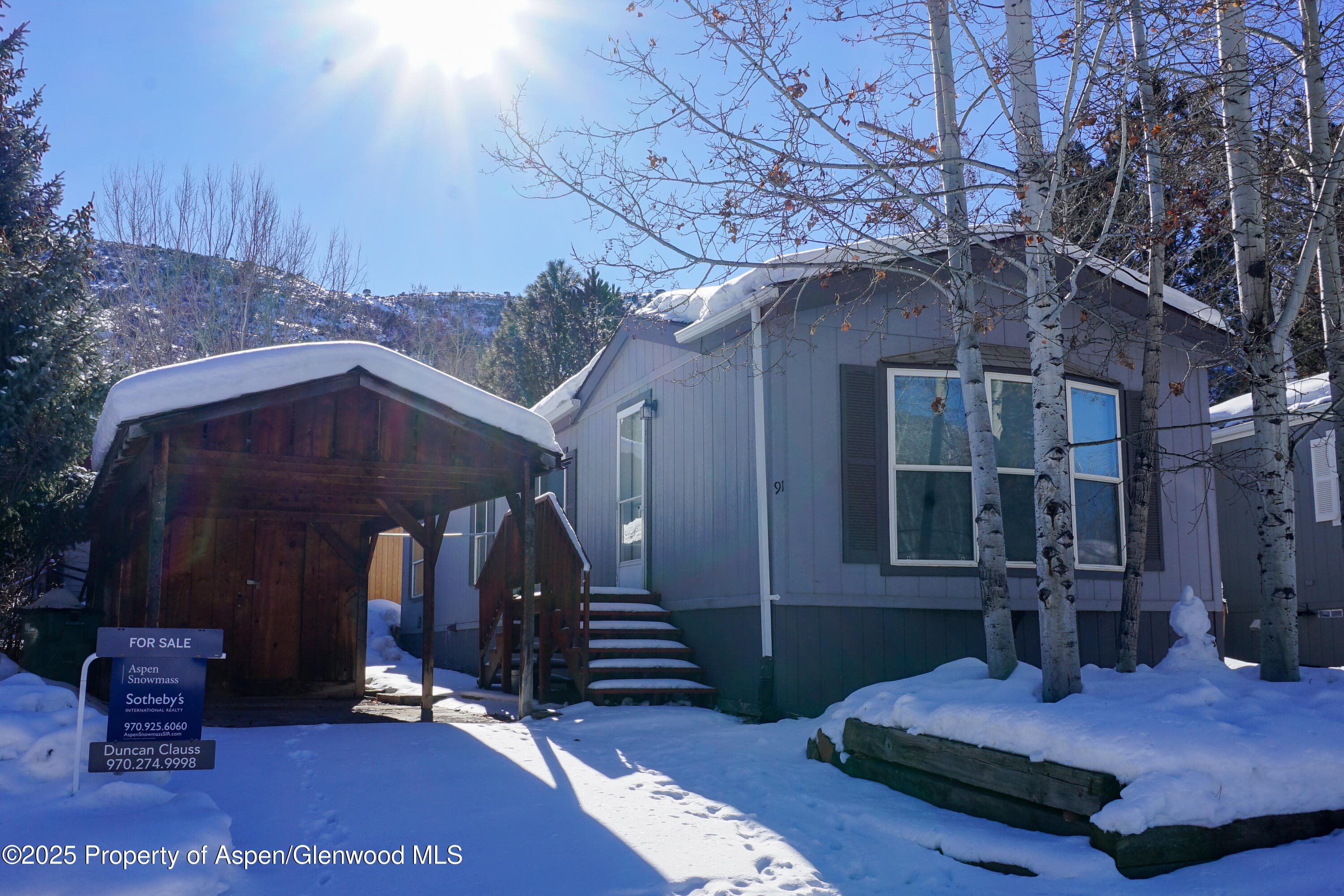 91 WILDCAT, Aspen, CO 81611 - Photo 2