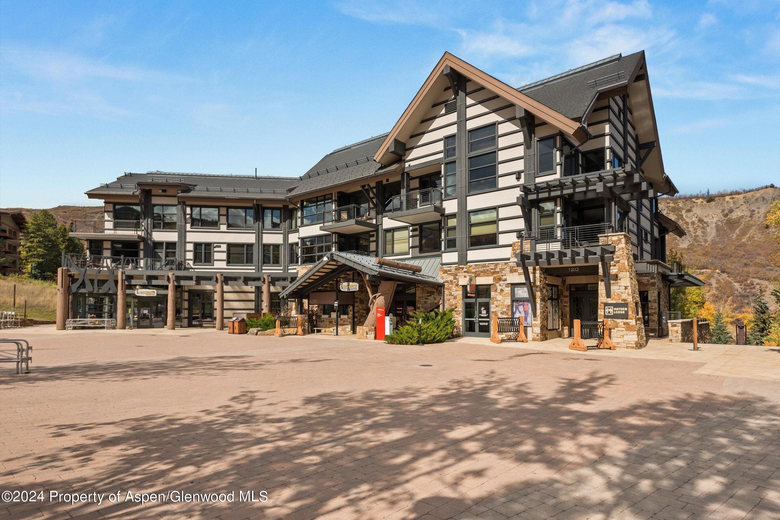 120 CARRIAGE Way 2201, Snowmass Village, CO 81615 - Photo 14