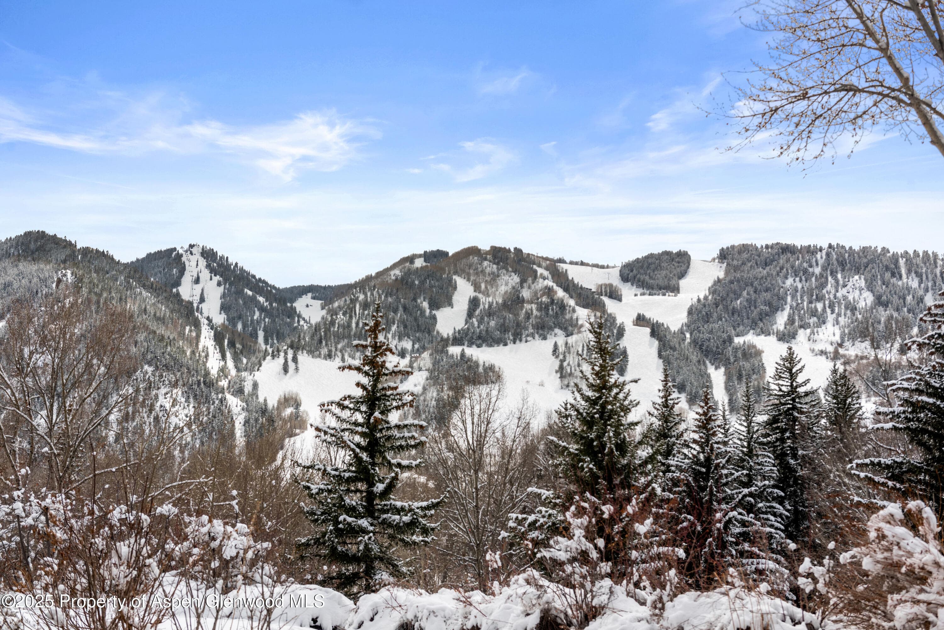 155 Lone Pine Road 5, Aspen, CO 81611 - Photo 22