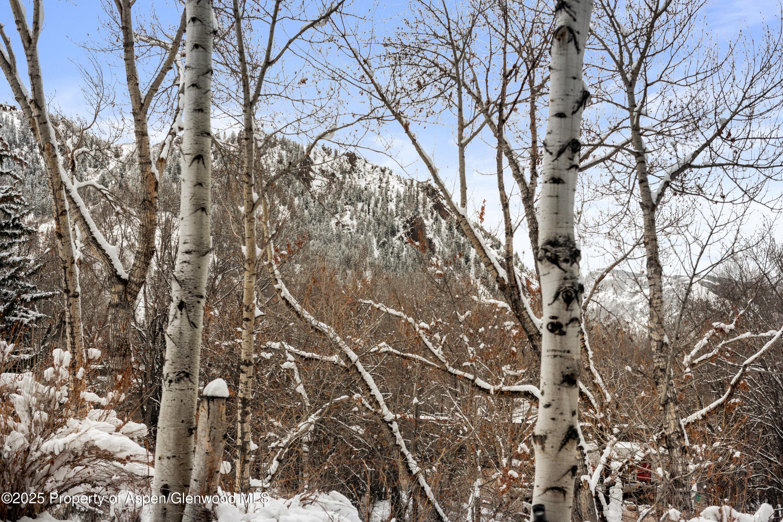 155 Lone Pine Road 5, Aspen, CO 81611 - Photo 25