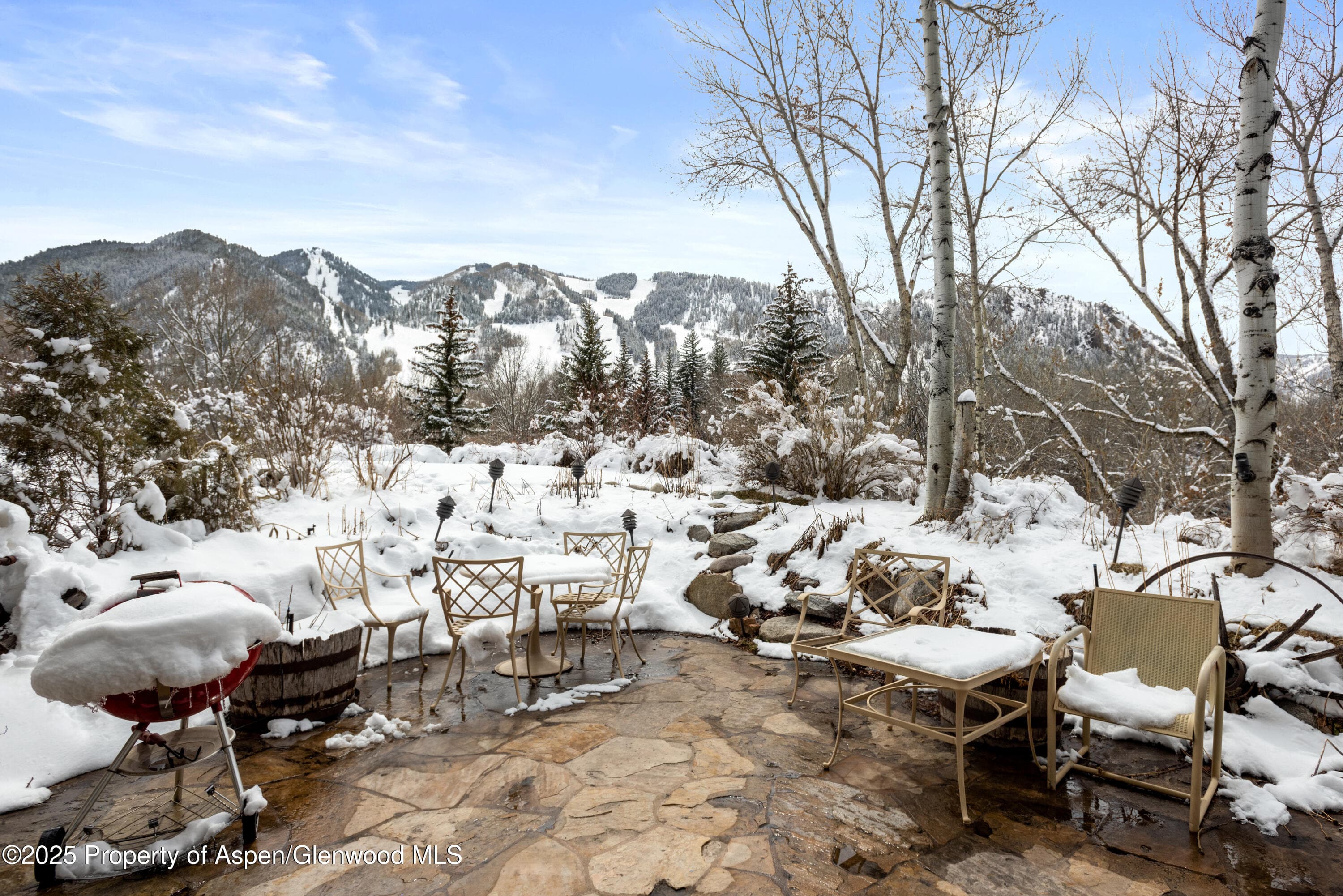 155 Lone Pine Road 5, Aspen, CO 81611 - Photo 24