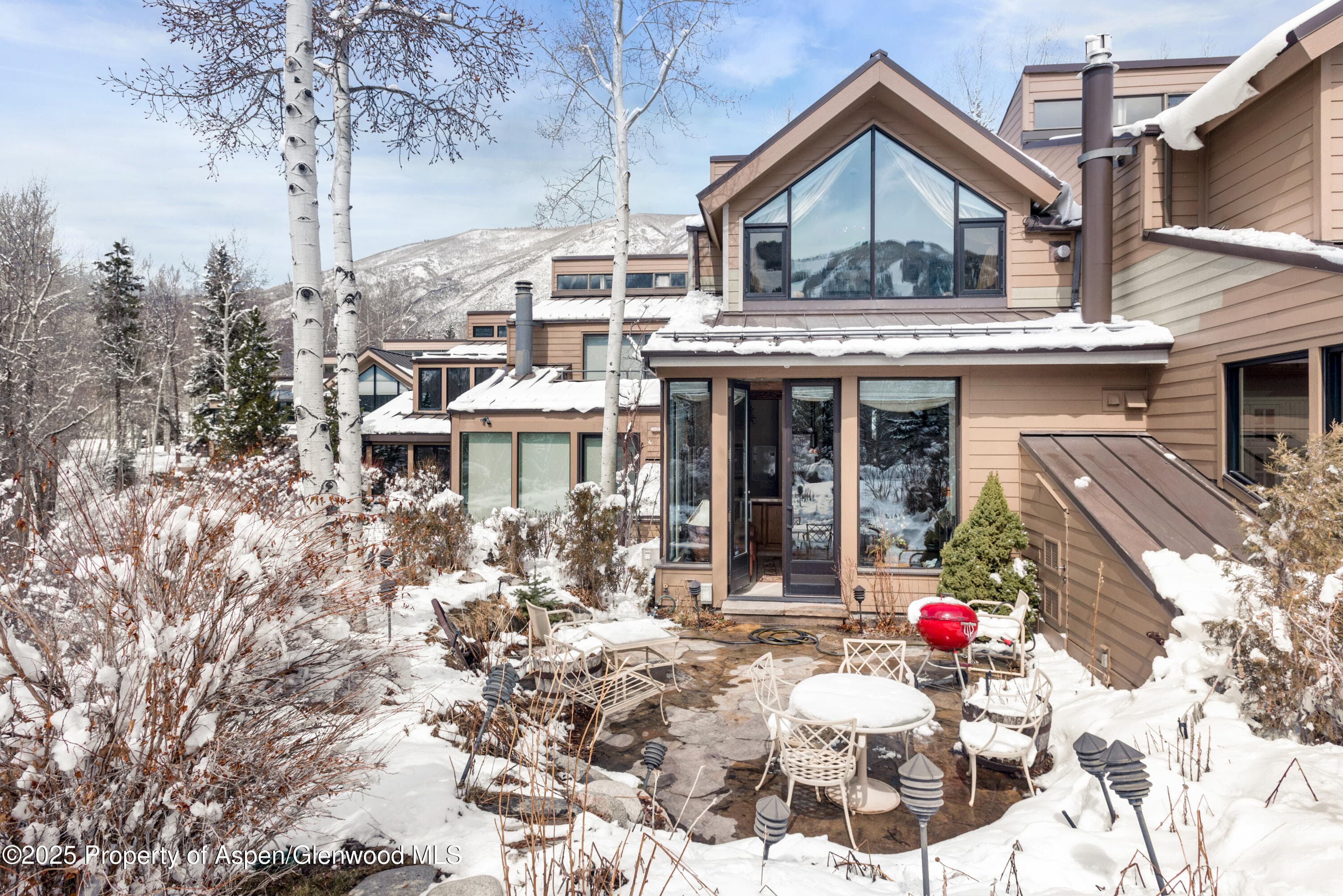 155 Lone Pine Road 5, Aspen, CO 81611 - Photo 23