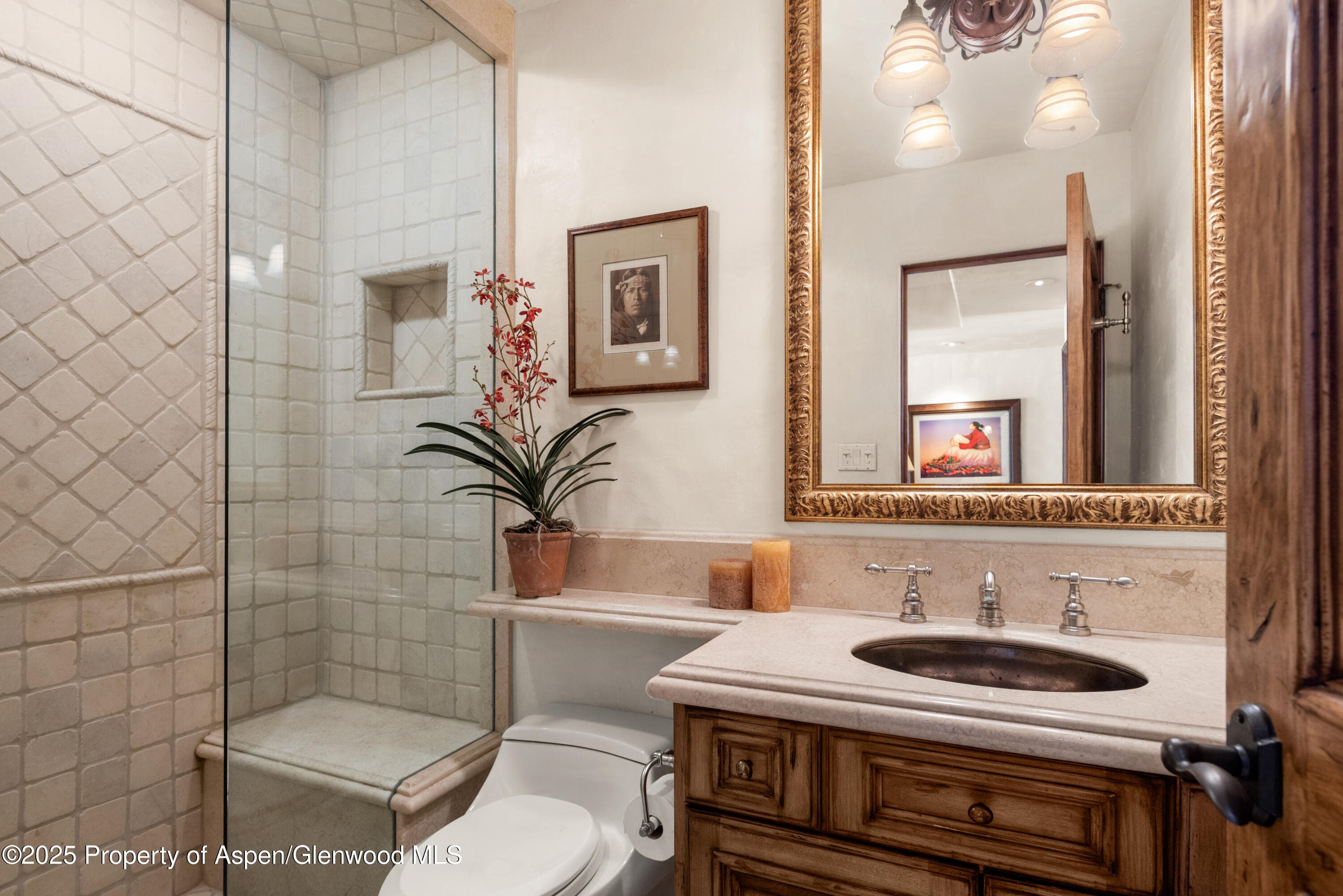 155 Lone Pine Road 5, Aspen, CO 81611 - Photo 13