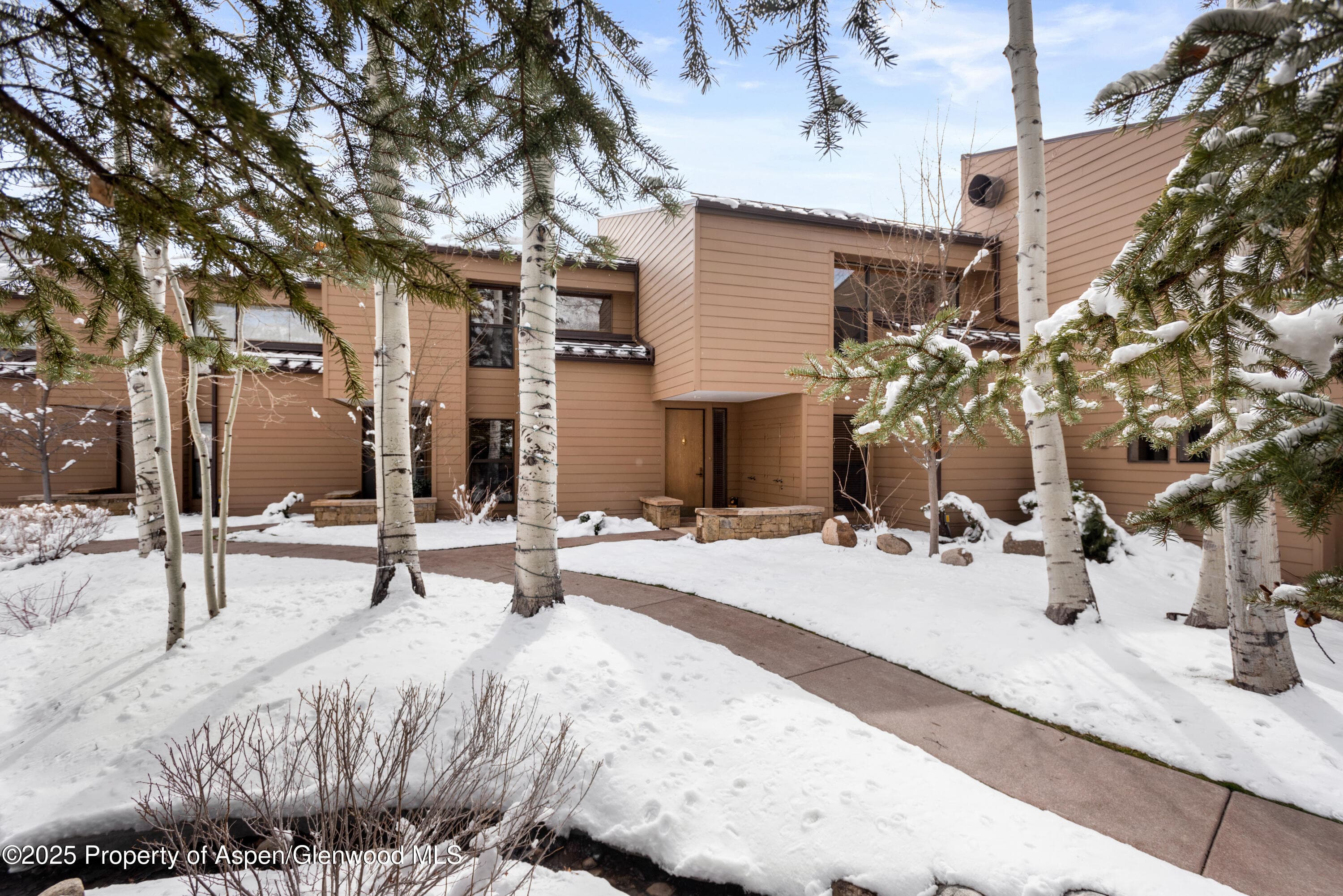 155 Lone Pine Road 5, Aspen, CO 81611 - Photo 21