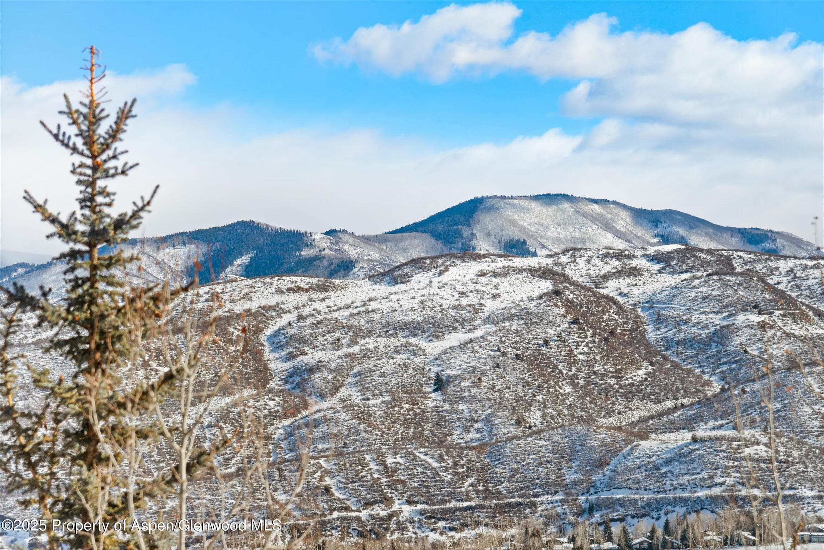 65 TERRACE Lane, Snowmass Village, CO 81615 - Photo 33
