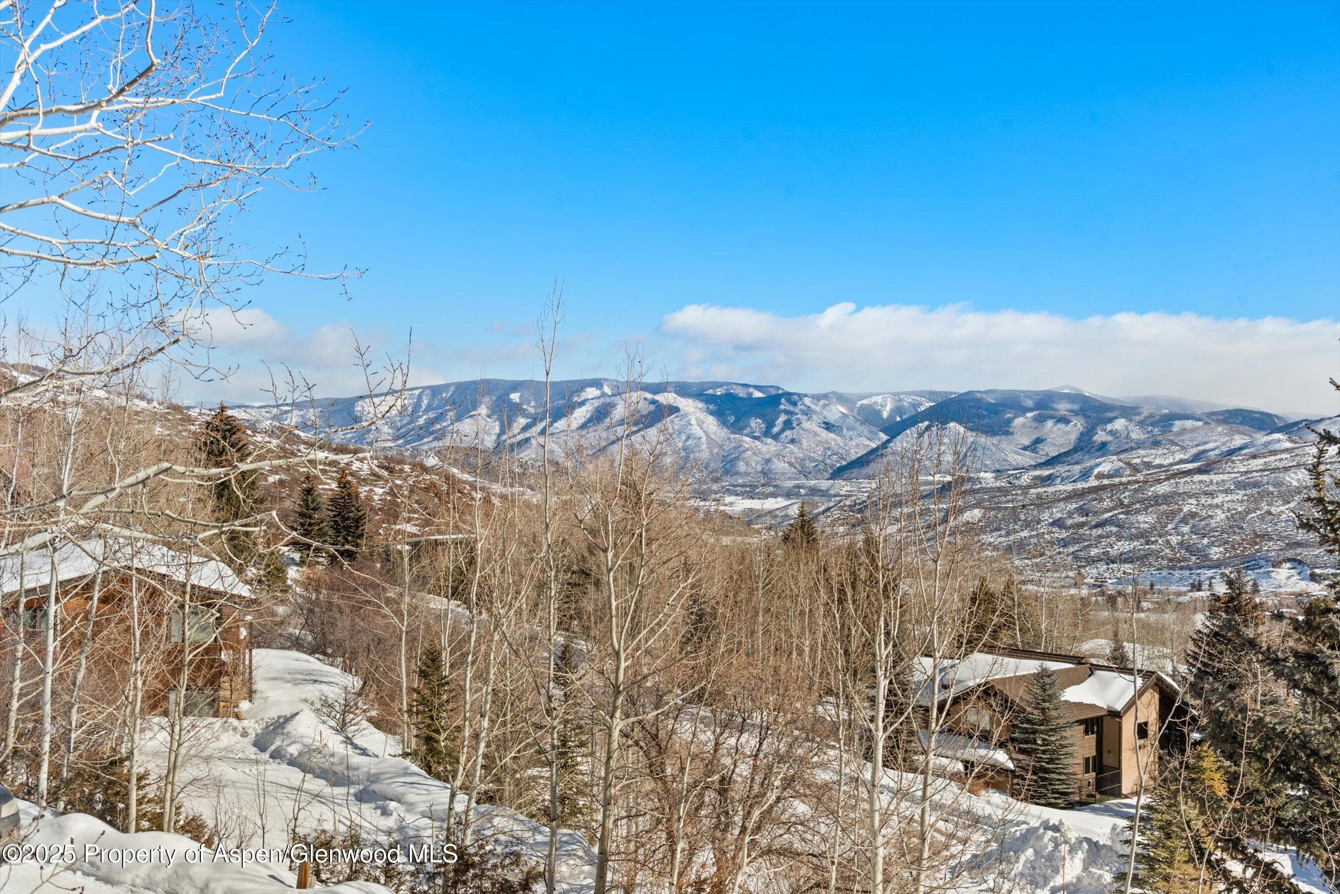 65 TERRACE Lane, Snowmass Village, CO 81615 - Photo 29