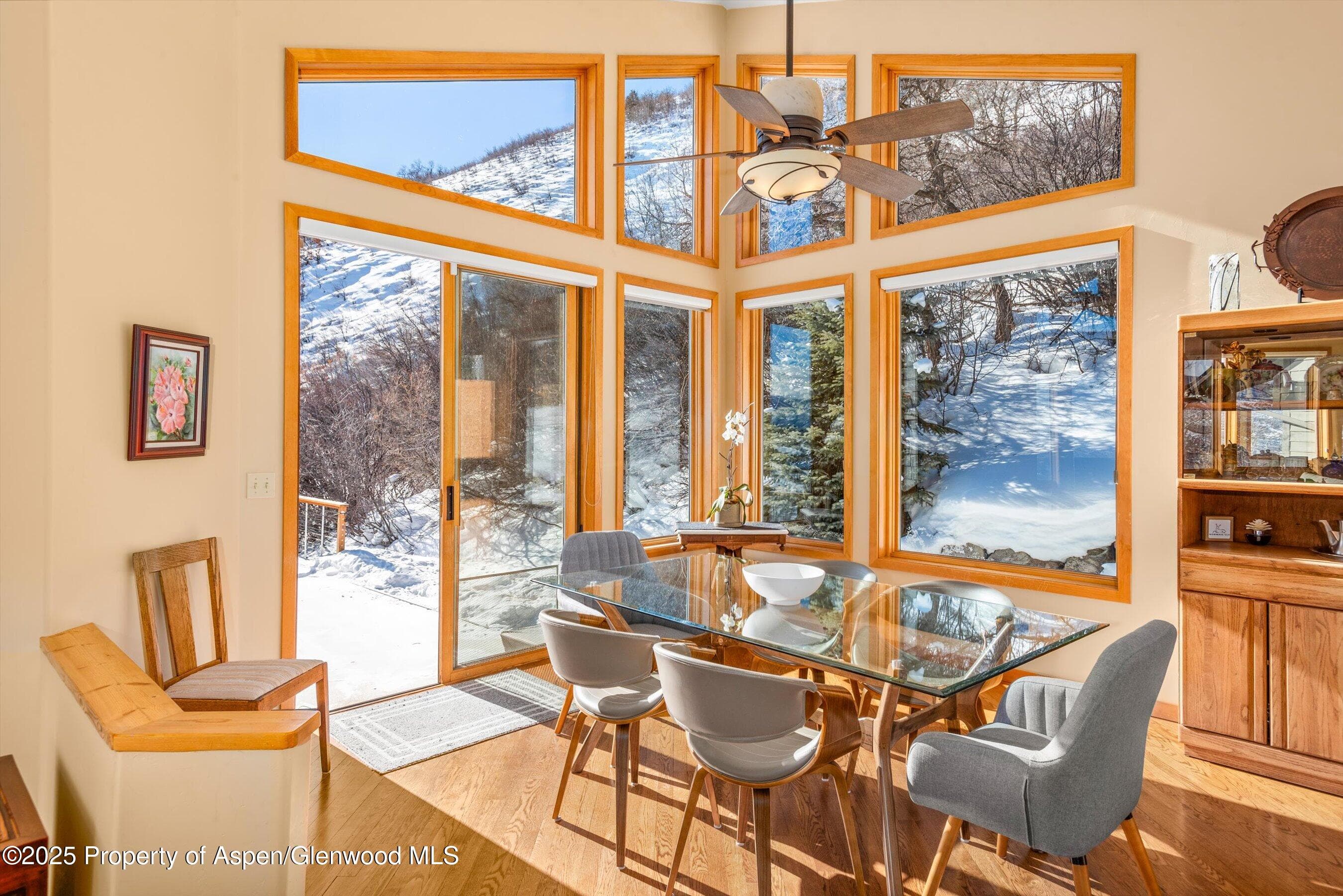 65 TERRACE Lane, Snowmass Village, CO 81615 - Photo 7