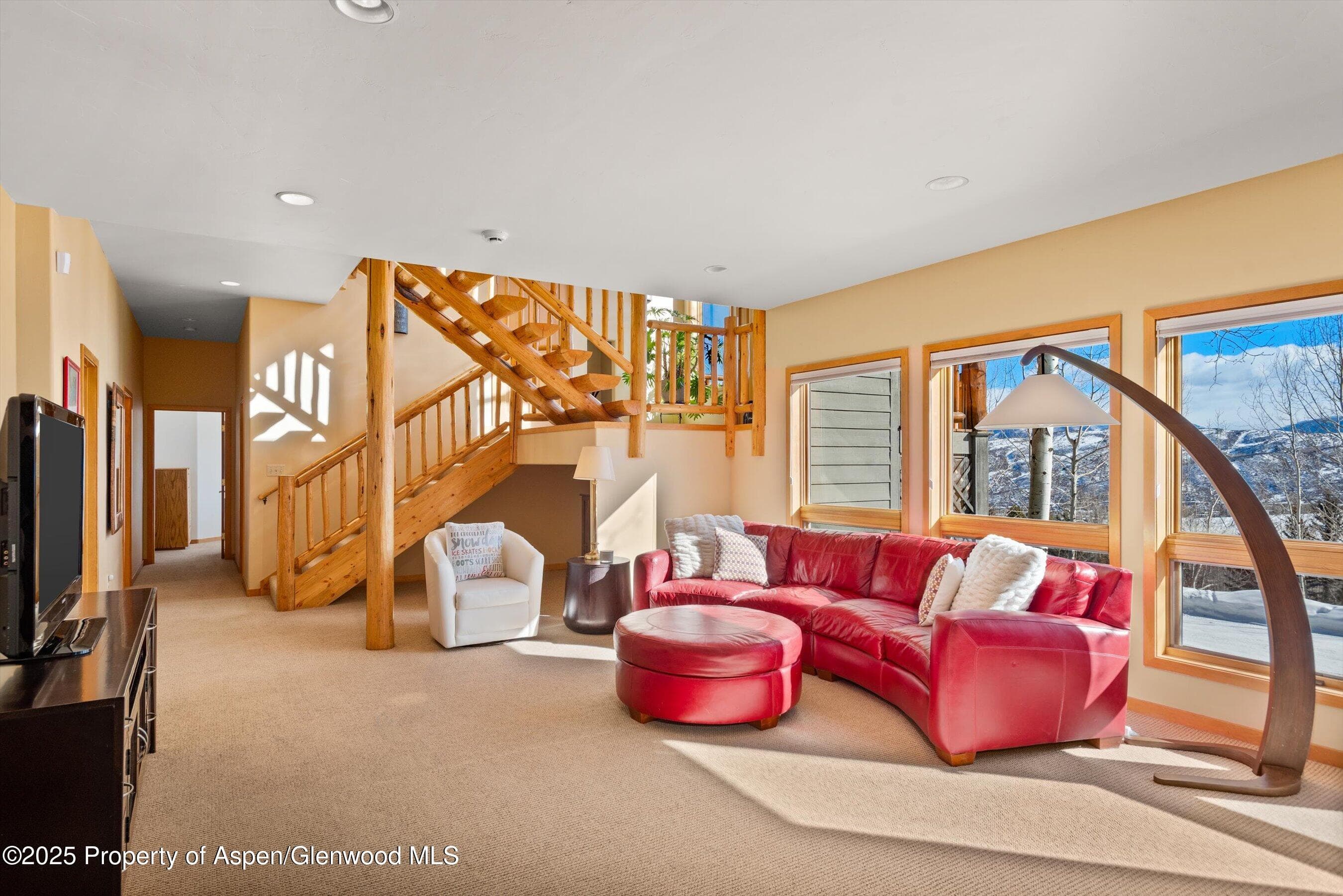 65 TERRACE Lane, Snowmass Village, CO 81615 - Photo 21