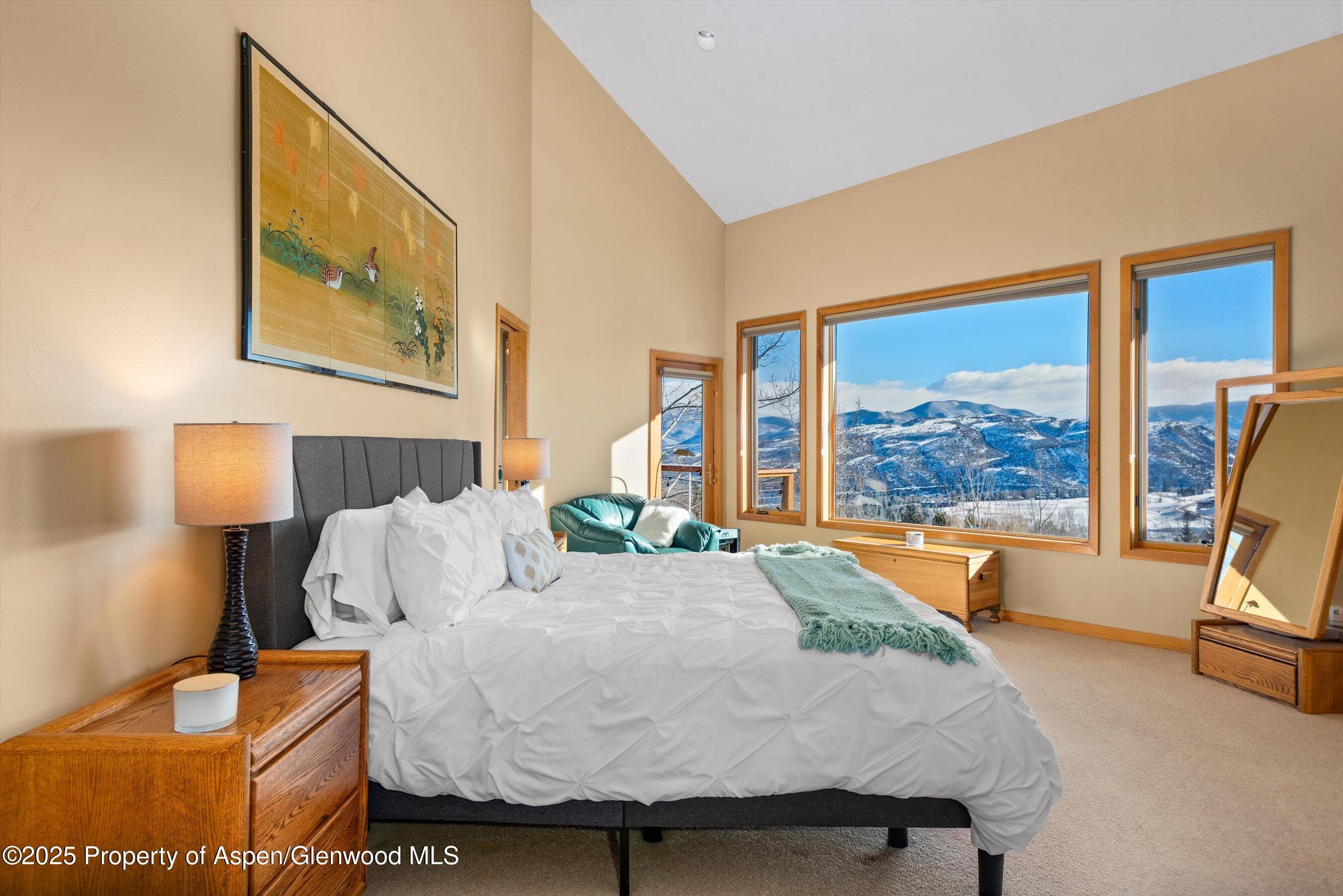 65 TERRACE Lane, Snowmass Village, CO 81615 - Photo 11