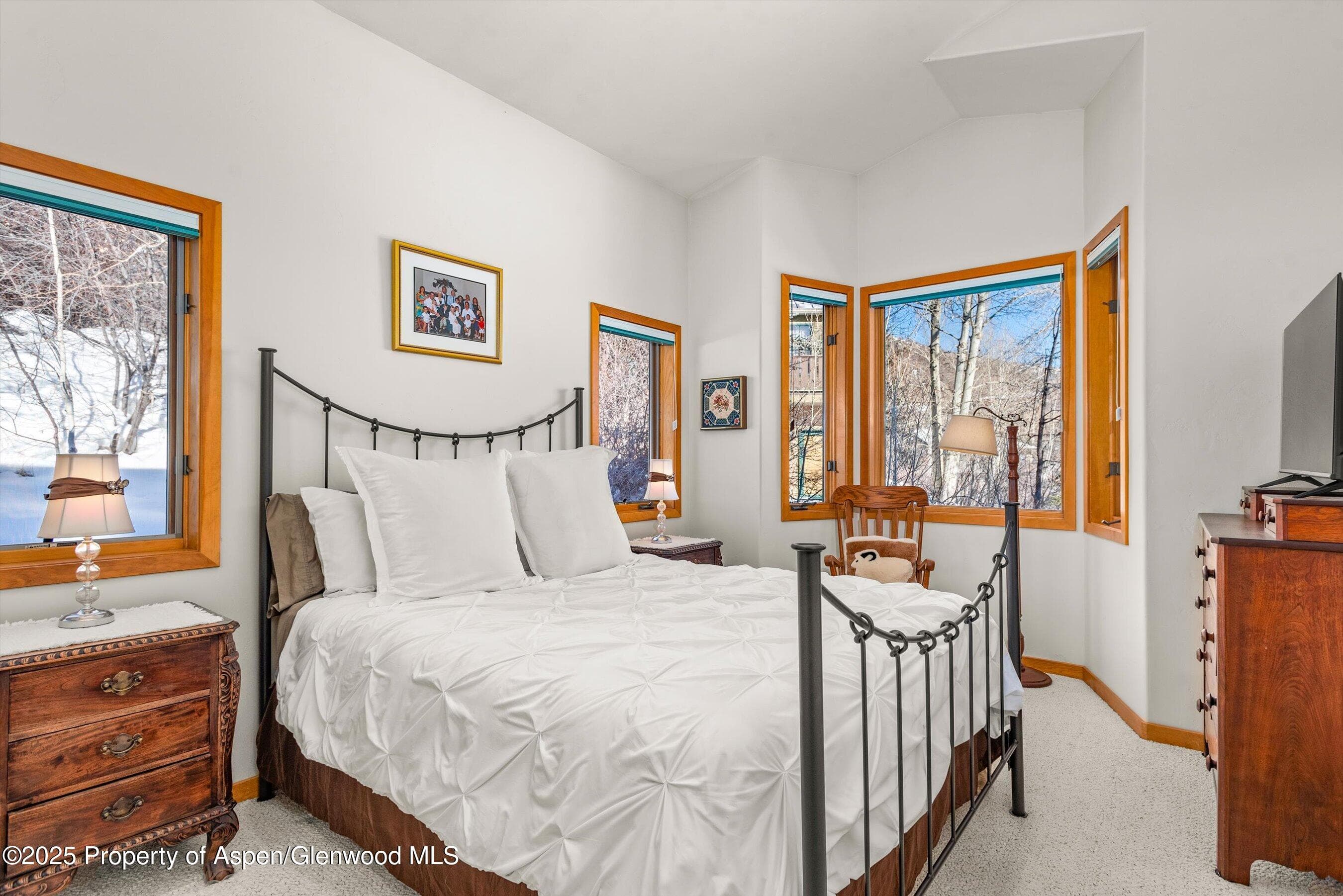 65 TERRACE Lane, Snowmass Village, CO 81615 - Photo 14