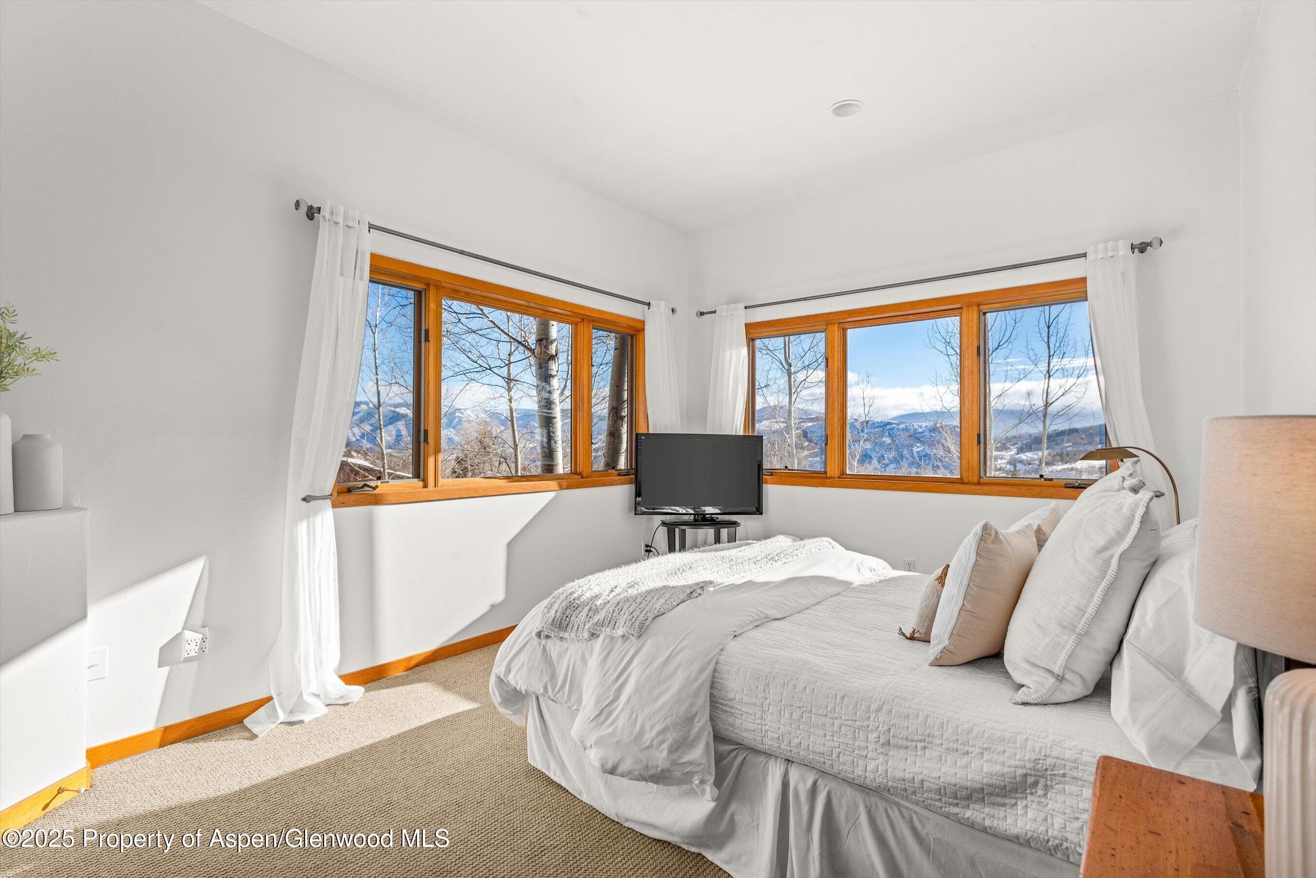 65 TERRACE Lane, Snowmass Village, CO 81615 - Photo 18