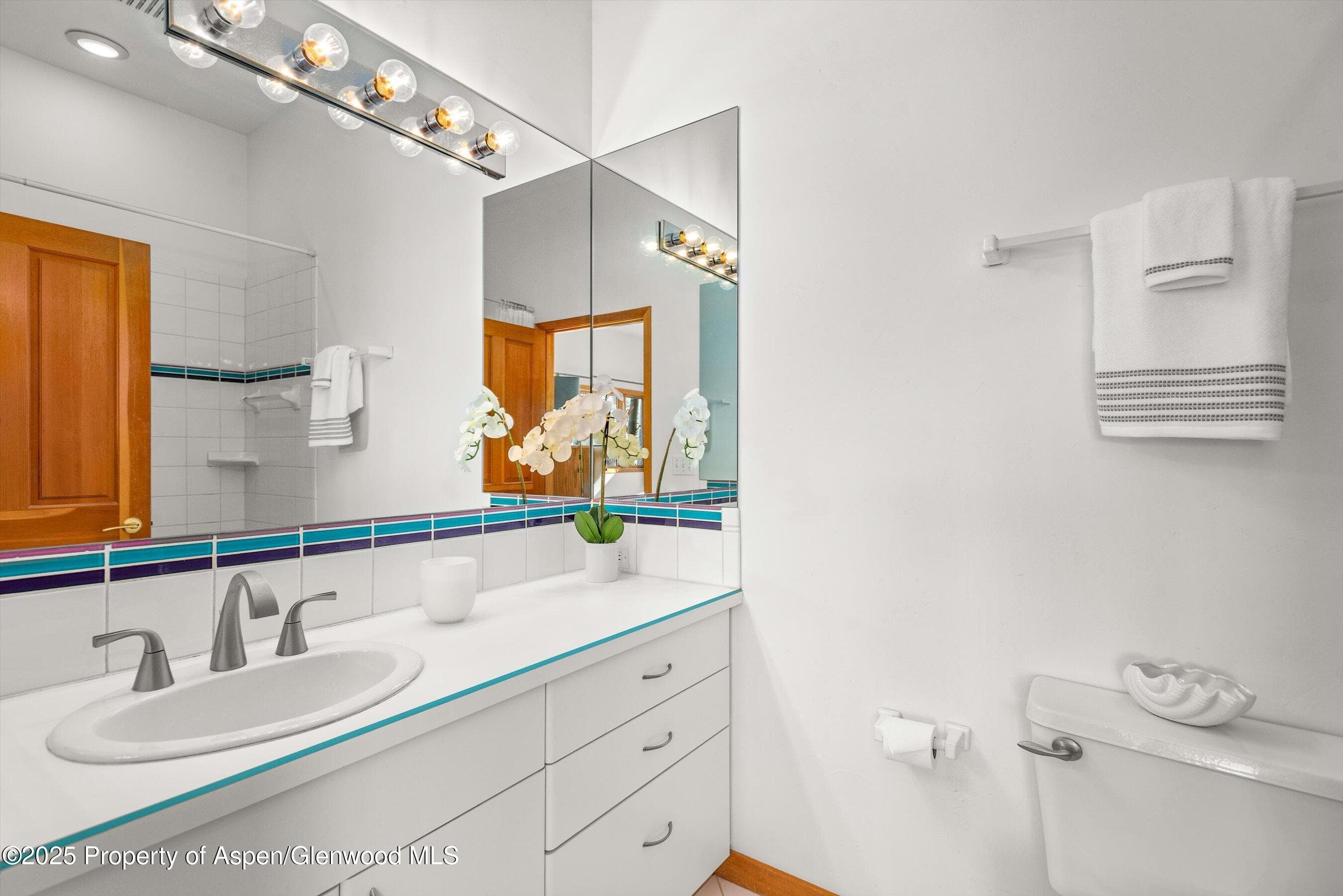 65 TERRACE Lane, Snowmass Village, CO 81615 - Photo 20