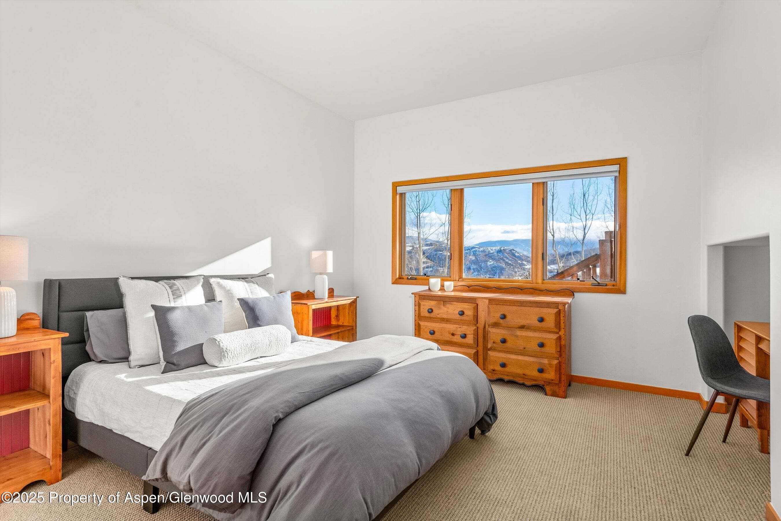65 TERRACE Lane, Snowmass Village, CO 81615 - Photo 16