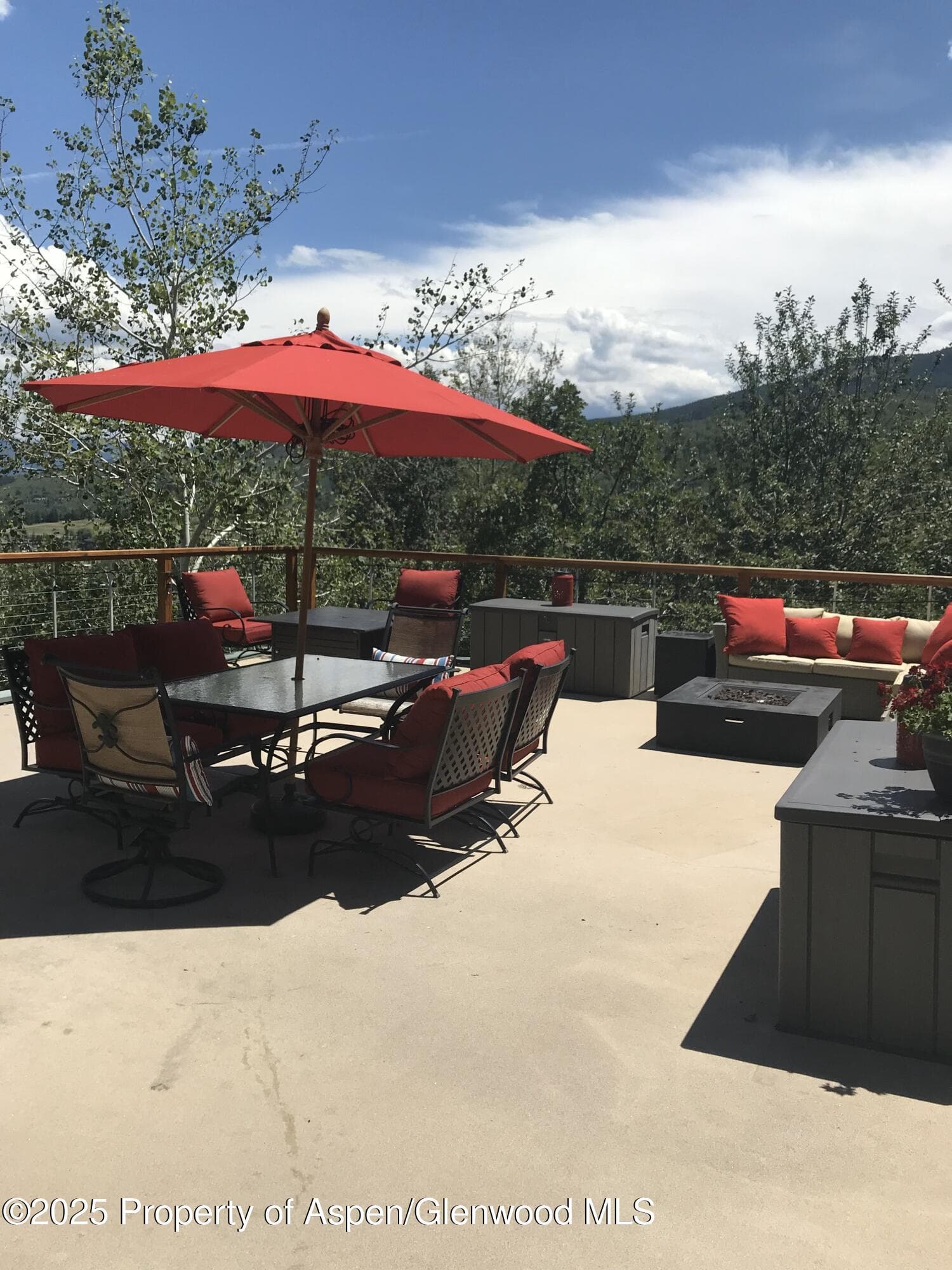 65 TERRACE Lane, Snowmass Village, CO 81615 - Photo 36