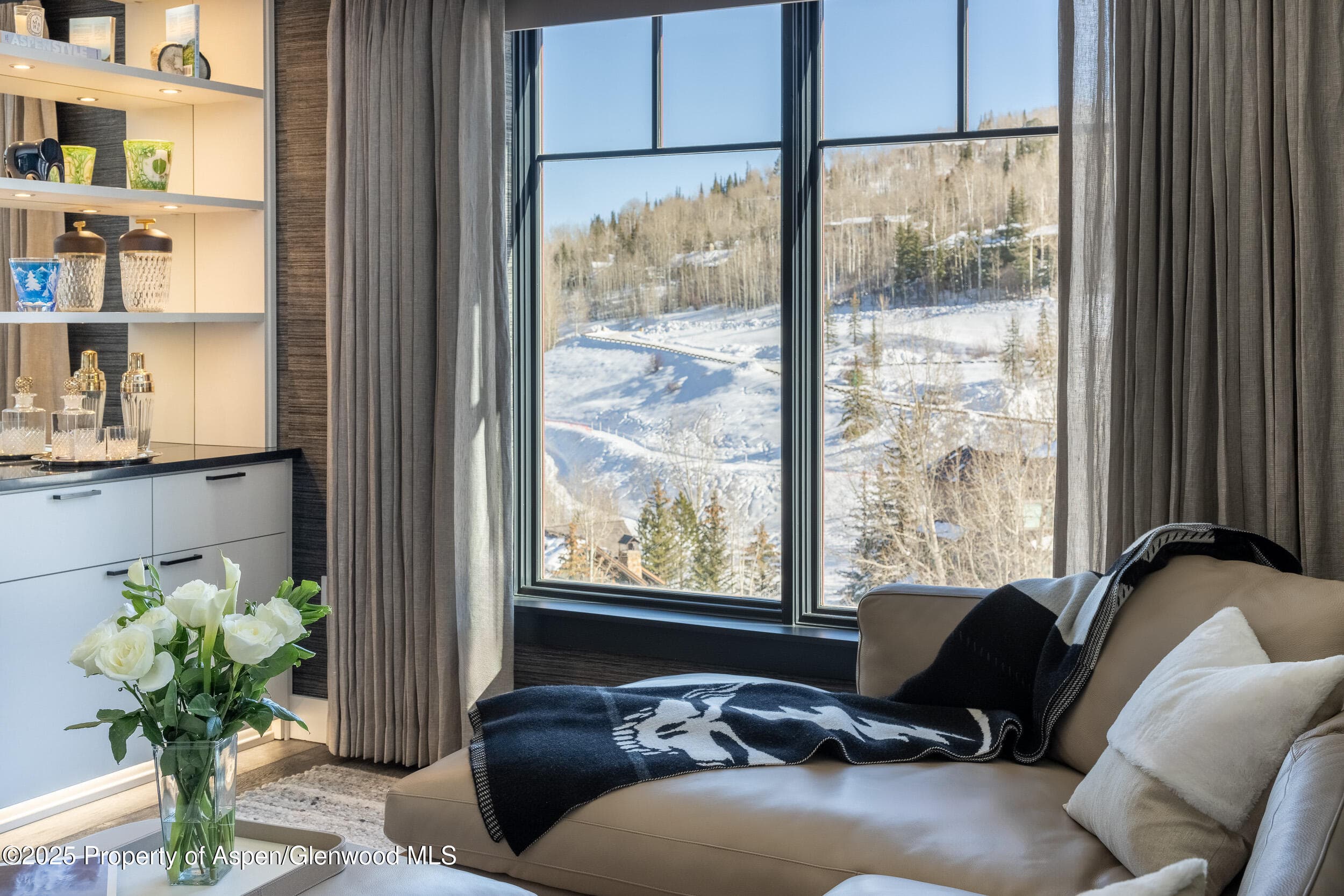 130 Wood Road 542, Snowmass Village, CO 81615 - Photo 9
