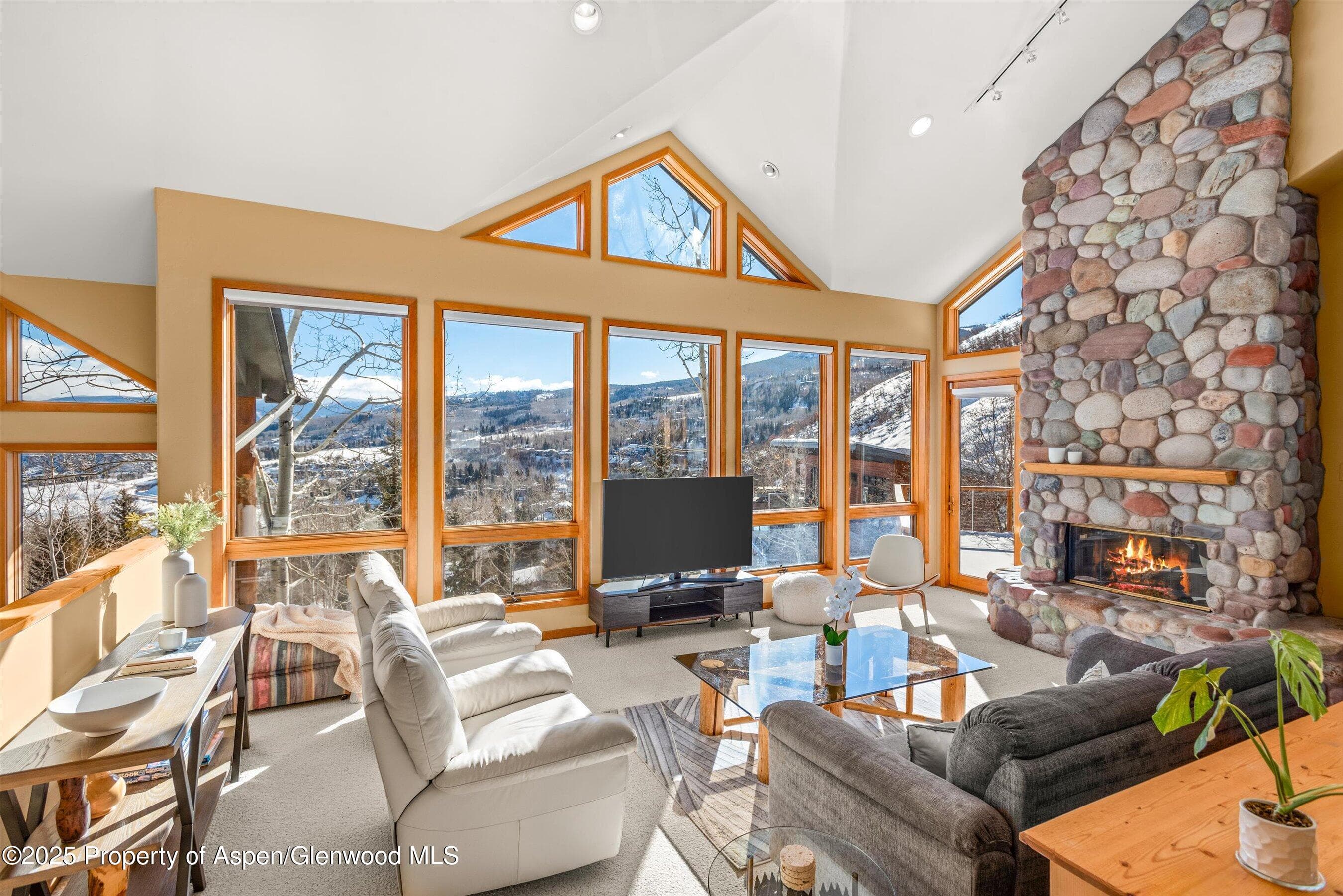 65 TERRACE Lane, Snowmass Village, CO 81615 - Photo 6
