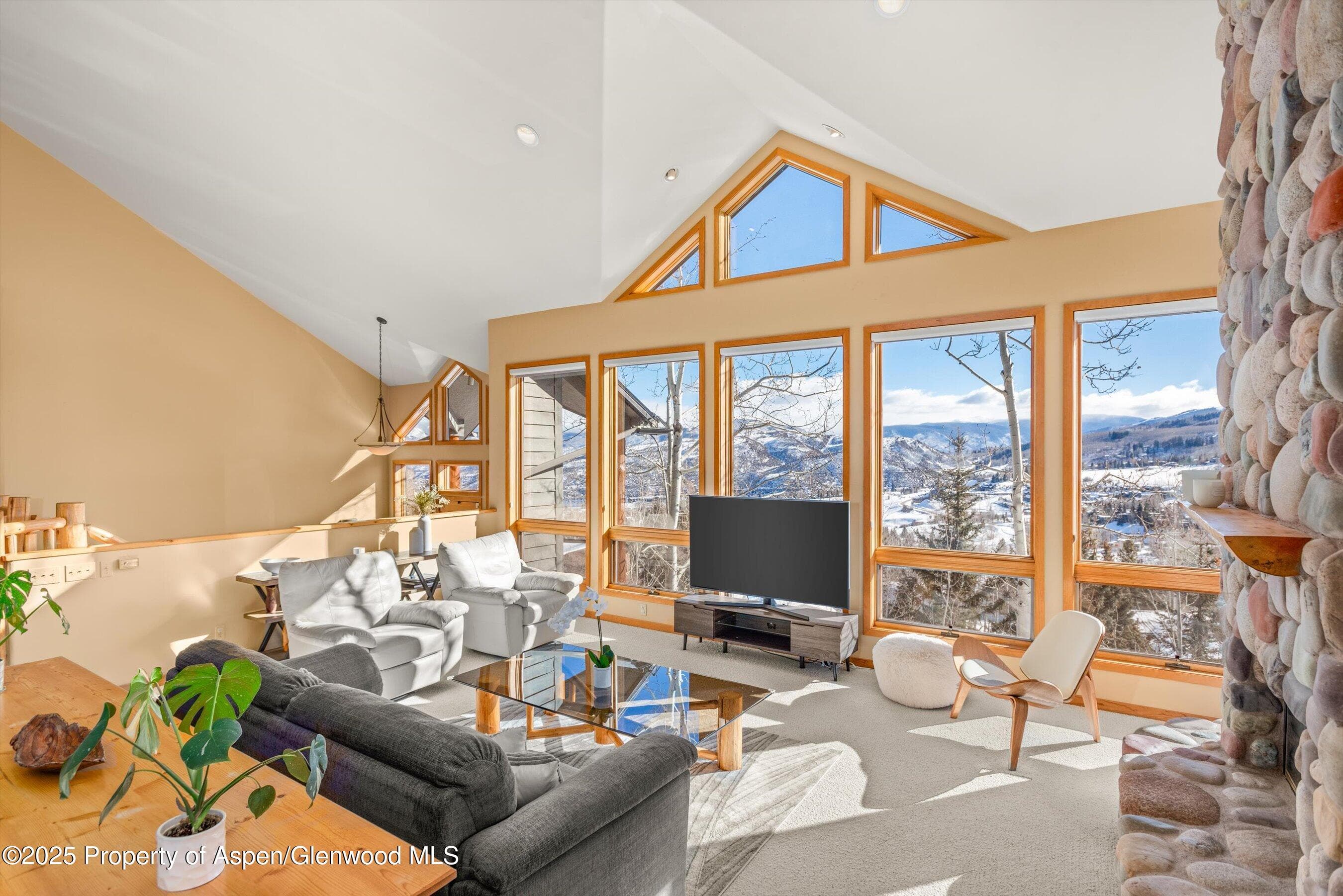 65 TERRACE Lane, Snowmass Village, CO 81615 - Photo 3