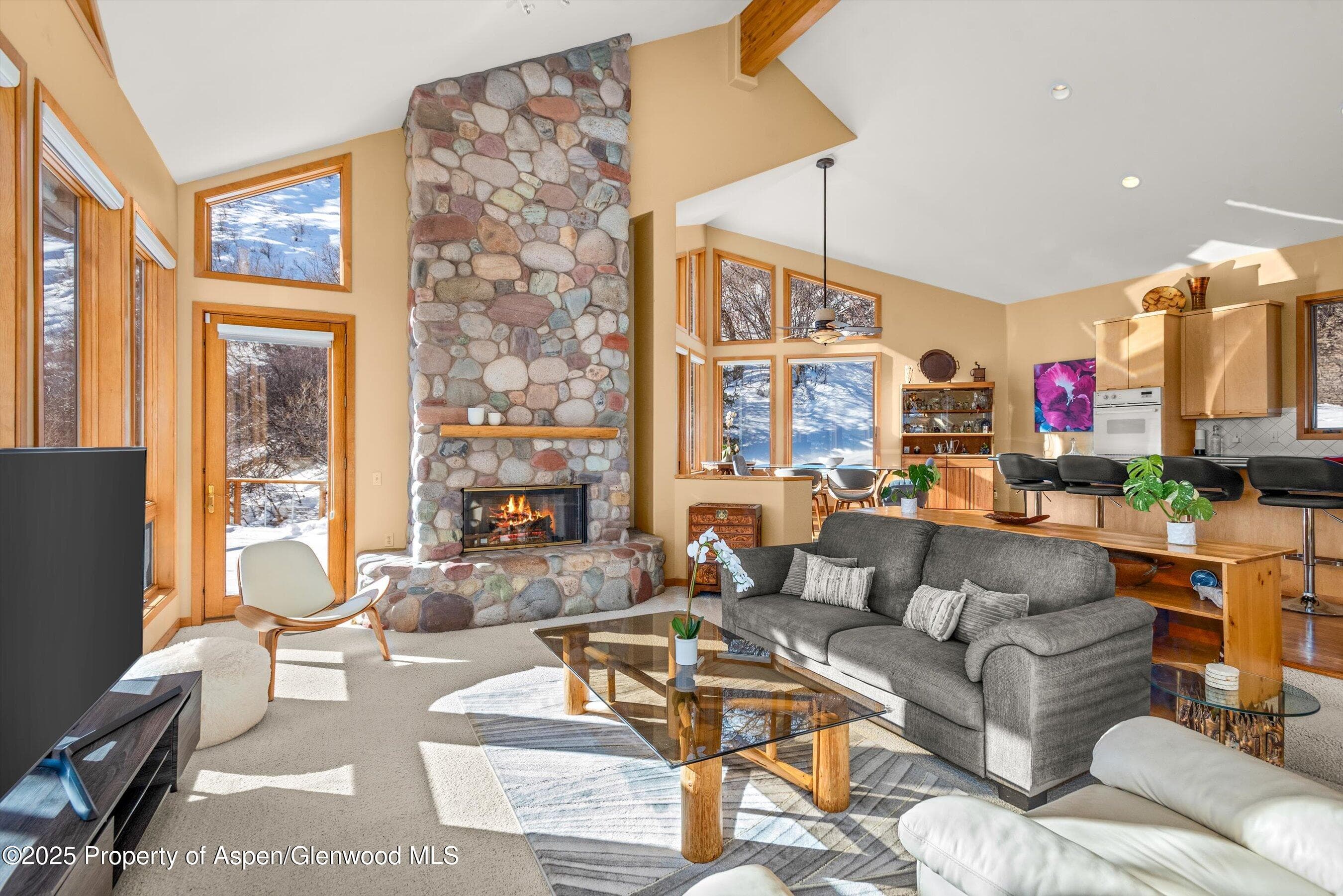 65 TERRACE Lane, Snowmass Village, CO 81615 - Photo 4