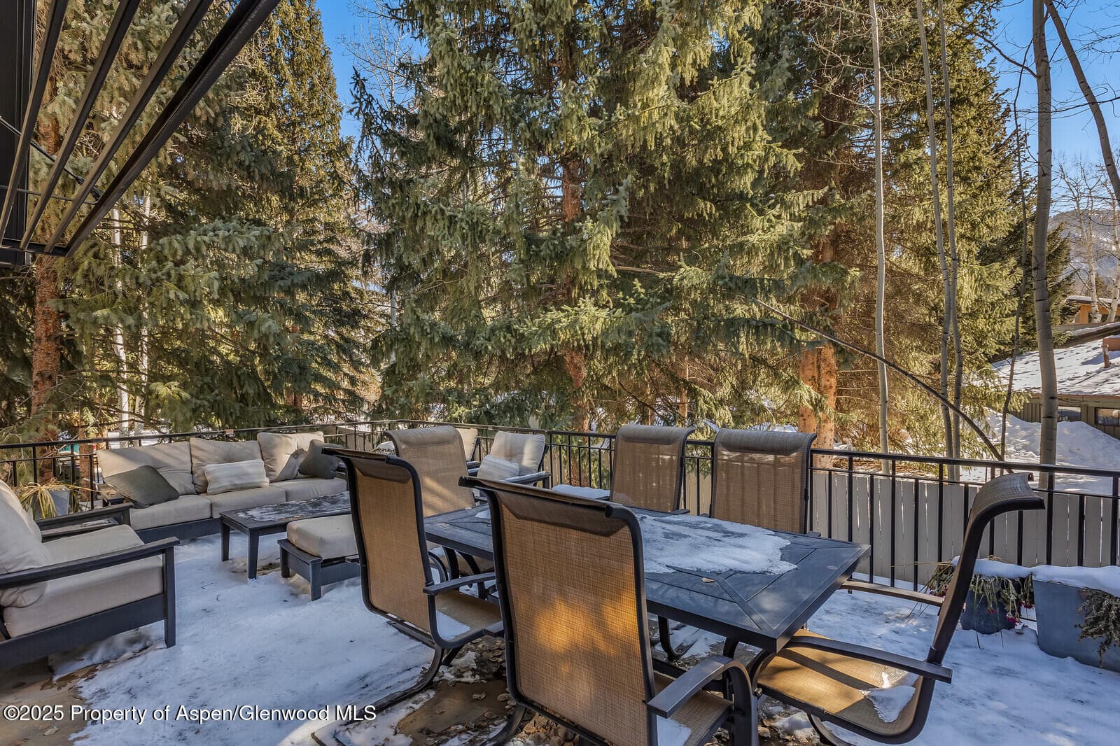 777 Castle Creek Drive, Aspen, CO 81611 - Photo 20