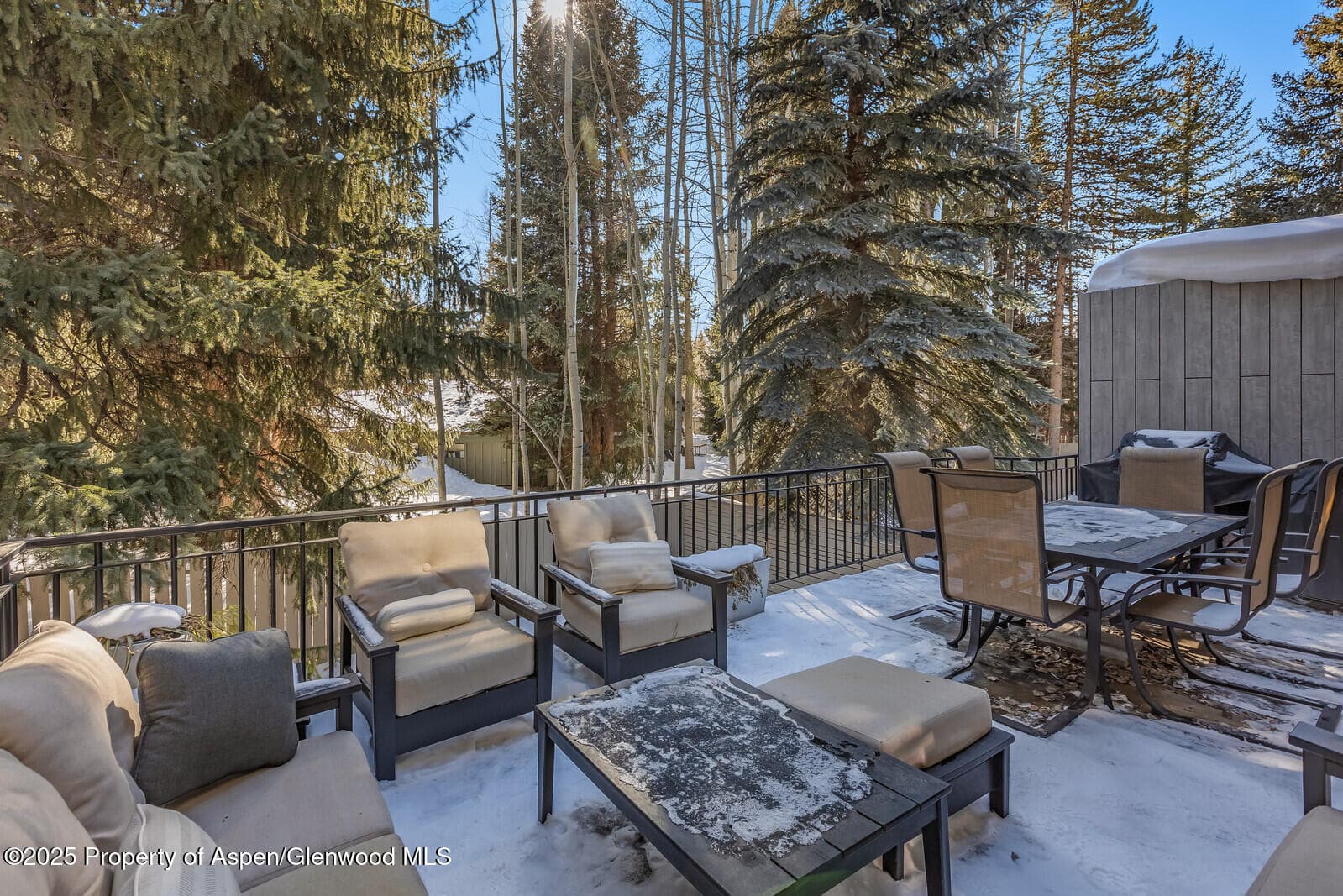 777 Castle Creek Drive, Aspen, CO 81611 - Photo 22