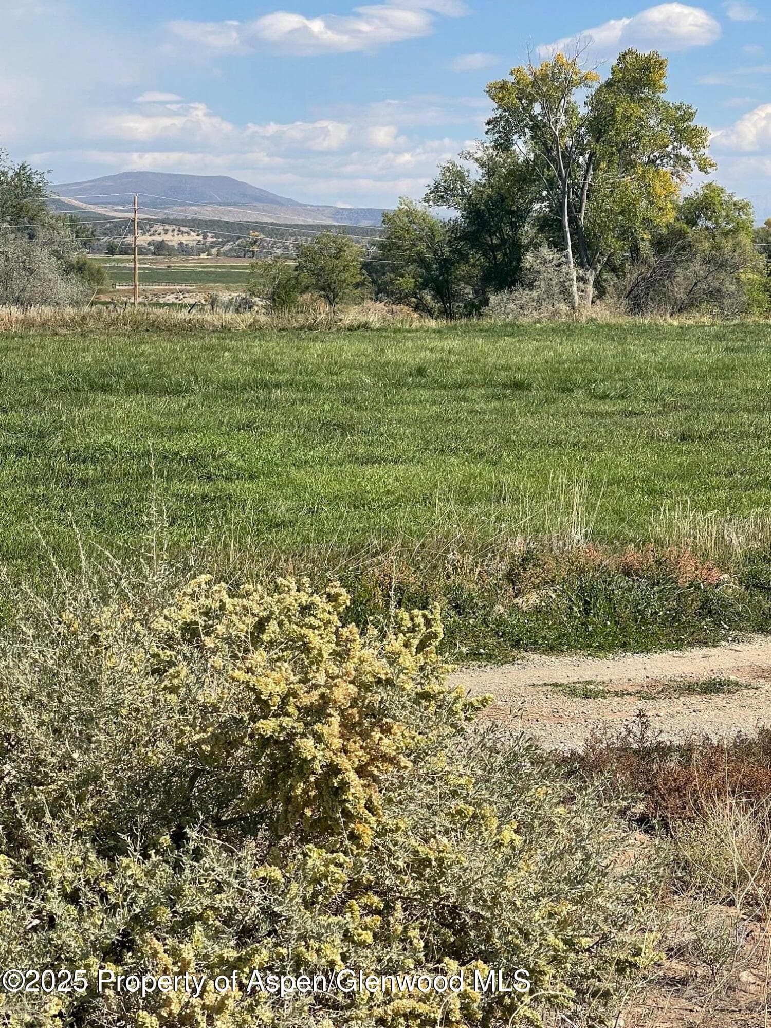 Tbd 3300 Road, Hotchkiss, CO 81419 - Photo 4