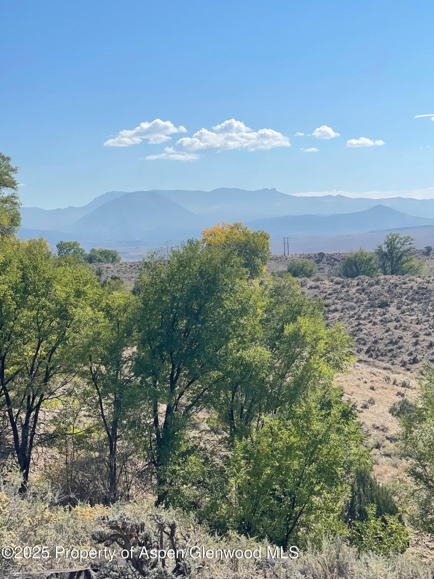 Tbd 3300 Road, Hotchkiss, CO 81419 - Photo 6
