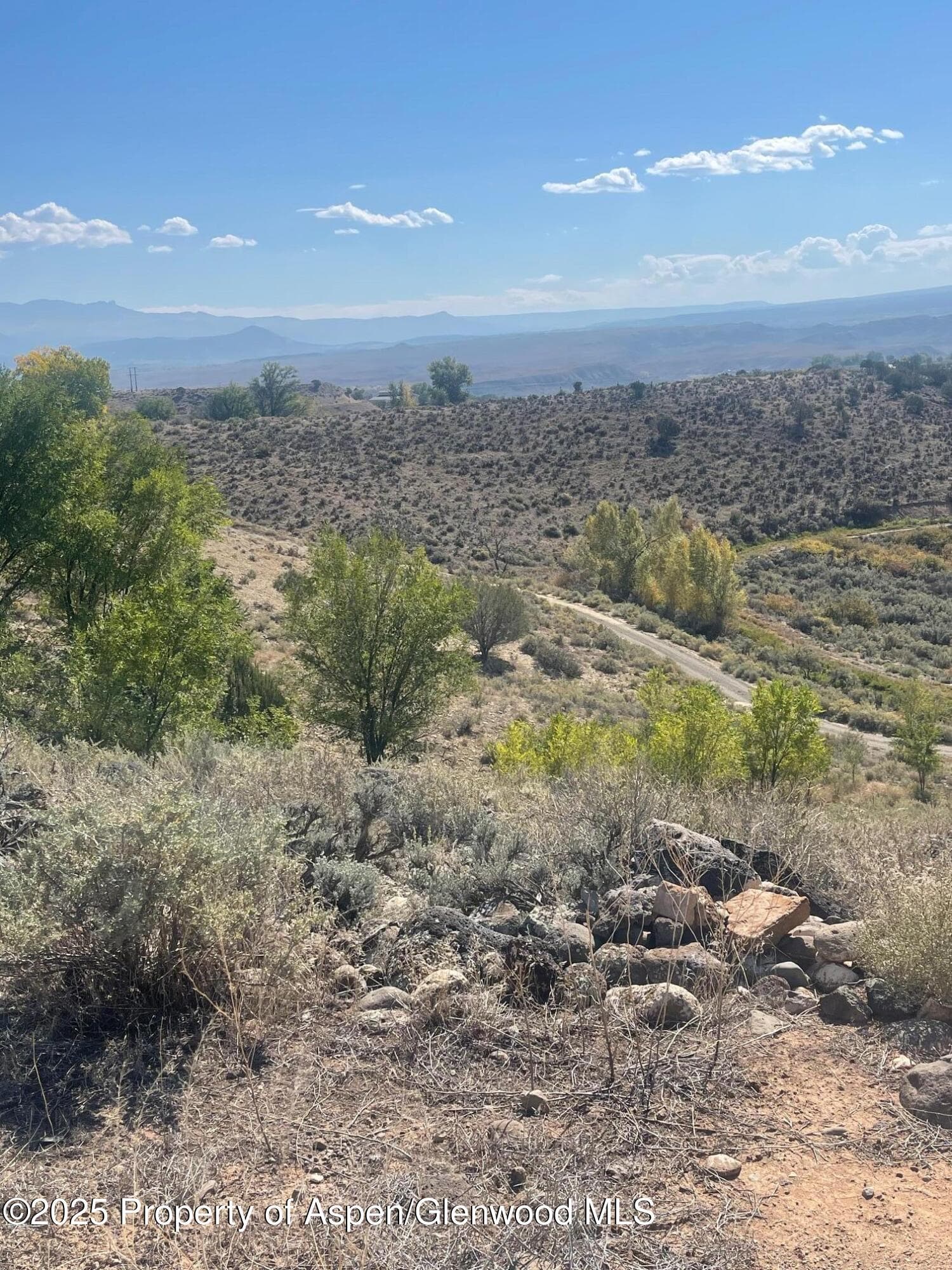 Tbd 3300 Road, Hotchkiss, CO 81419 - Photo 8