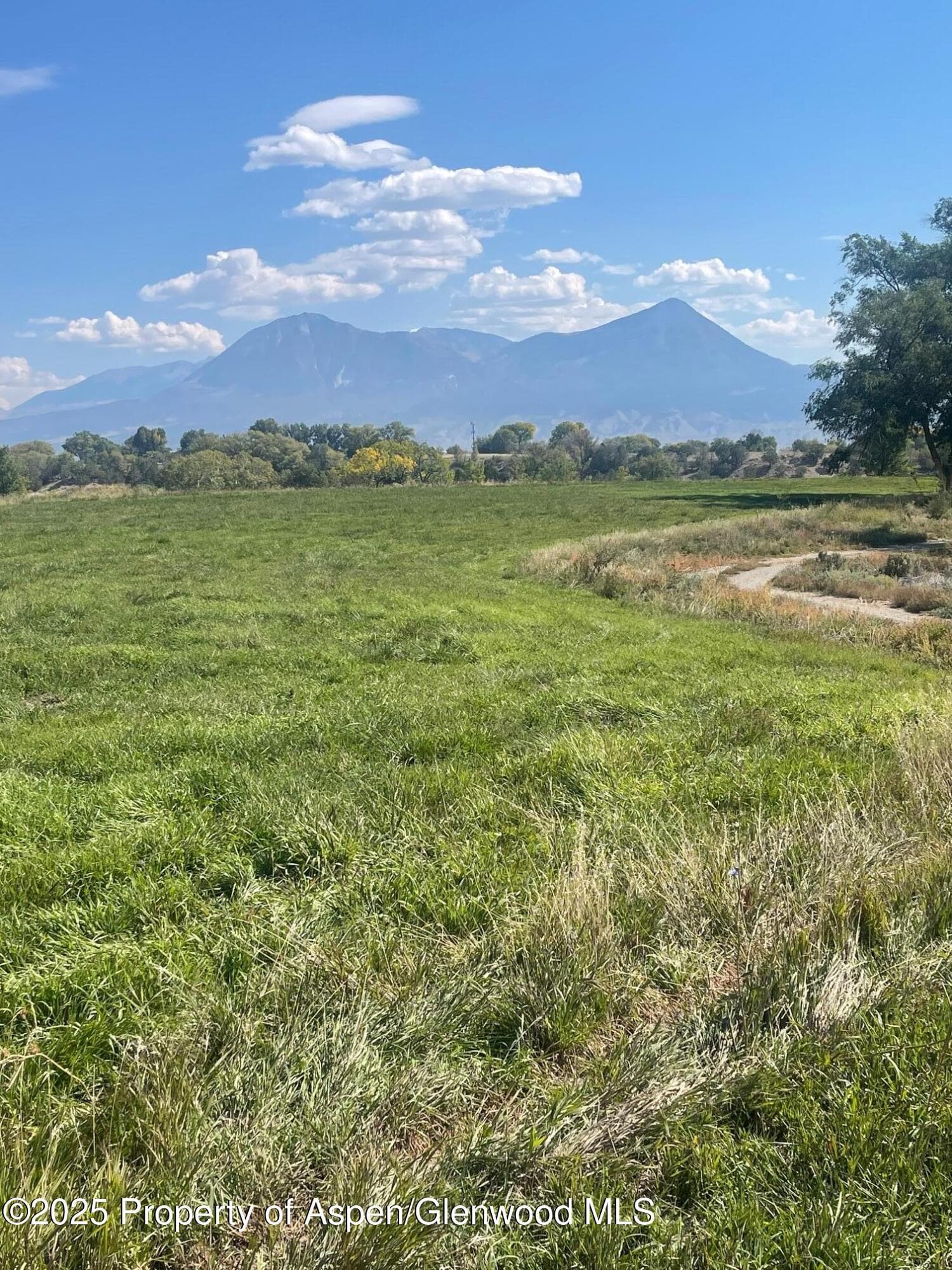 Tbd 3300 Road, Hotchkiss, CO 81419 - Photo 10