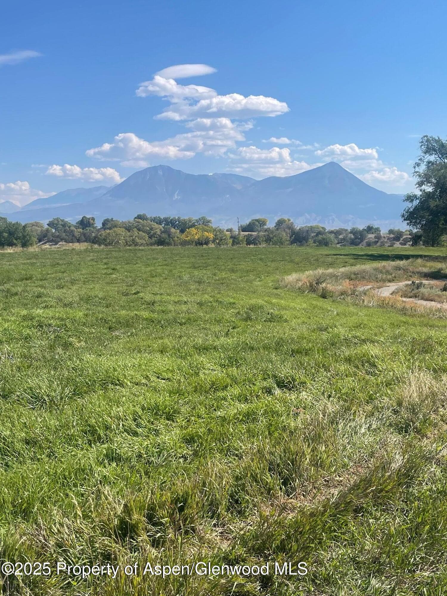 Tbd 3300 Road, Hotchkiss, CO 81419 - Photo 1